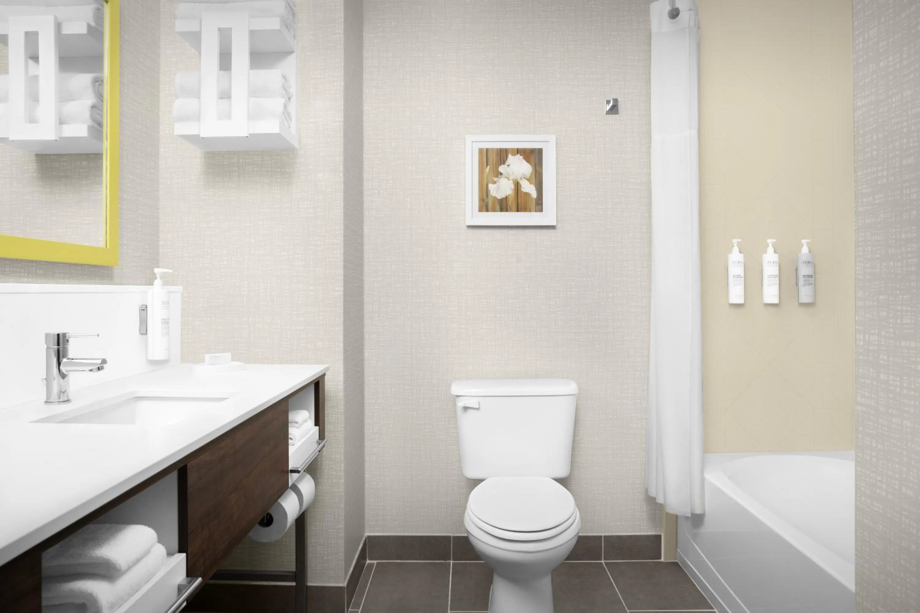 Bathroom in Hampton Inn Dandridge