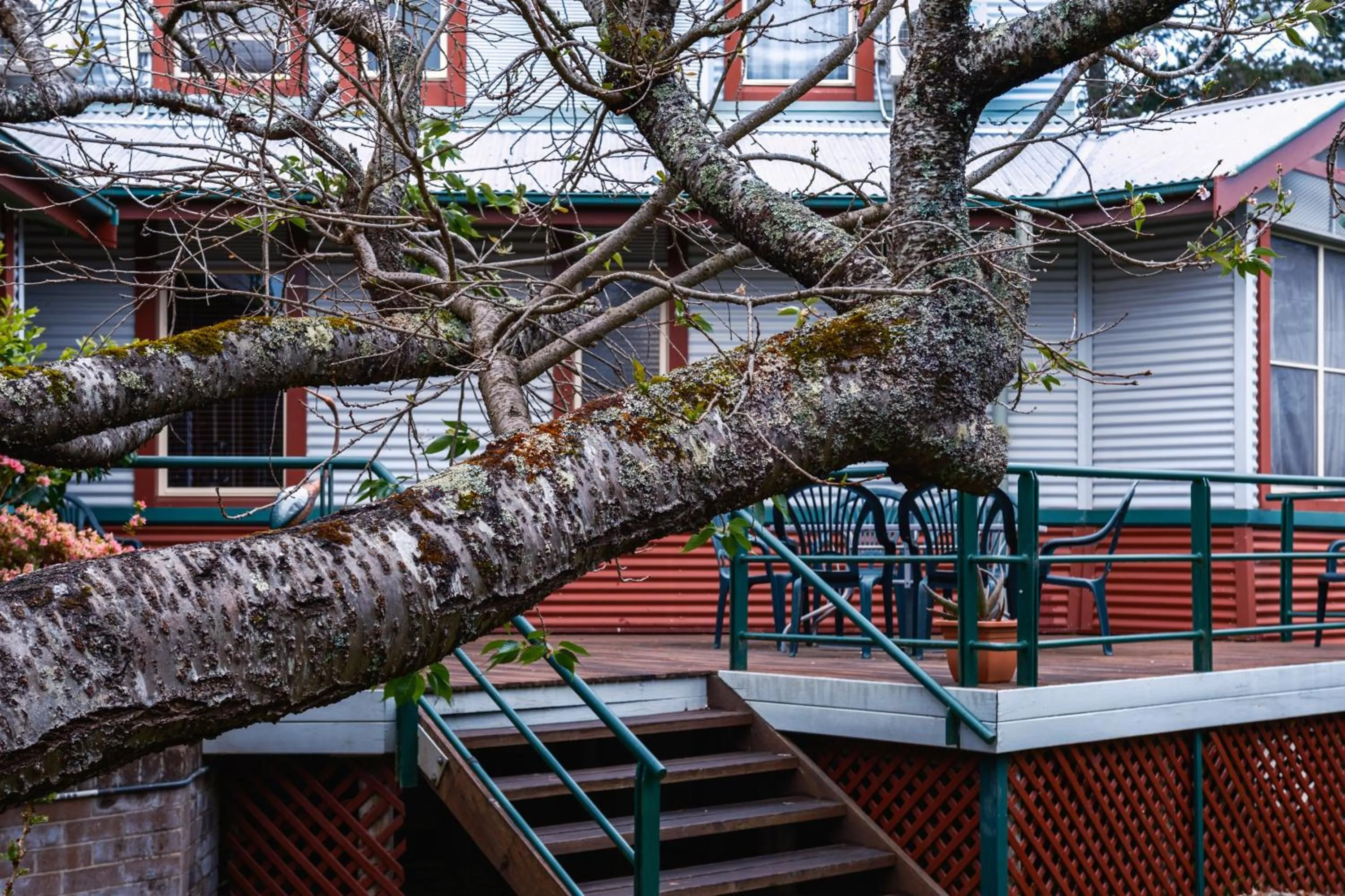 La Maison Boutique Hotel