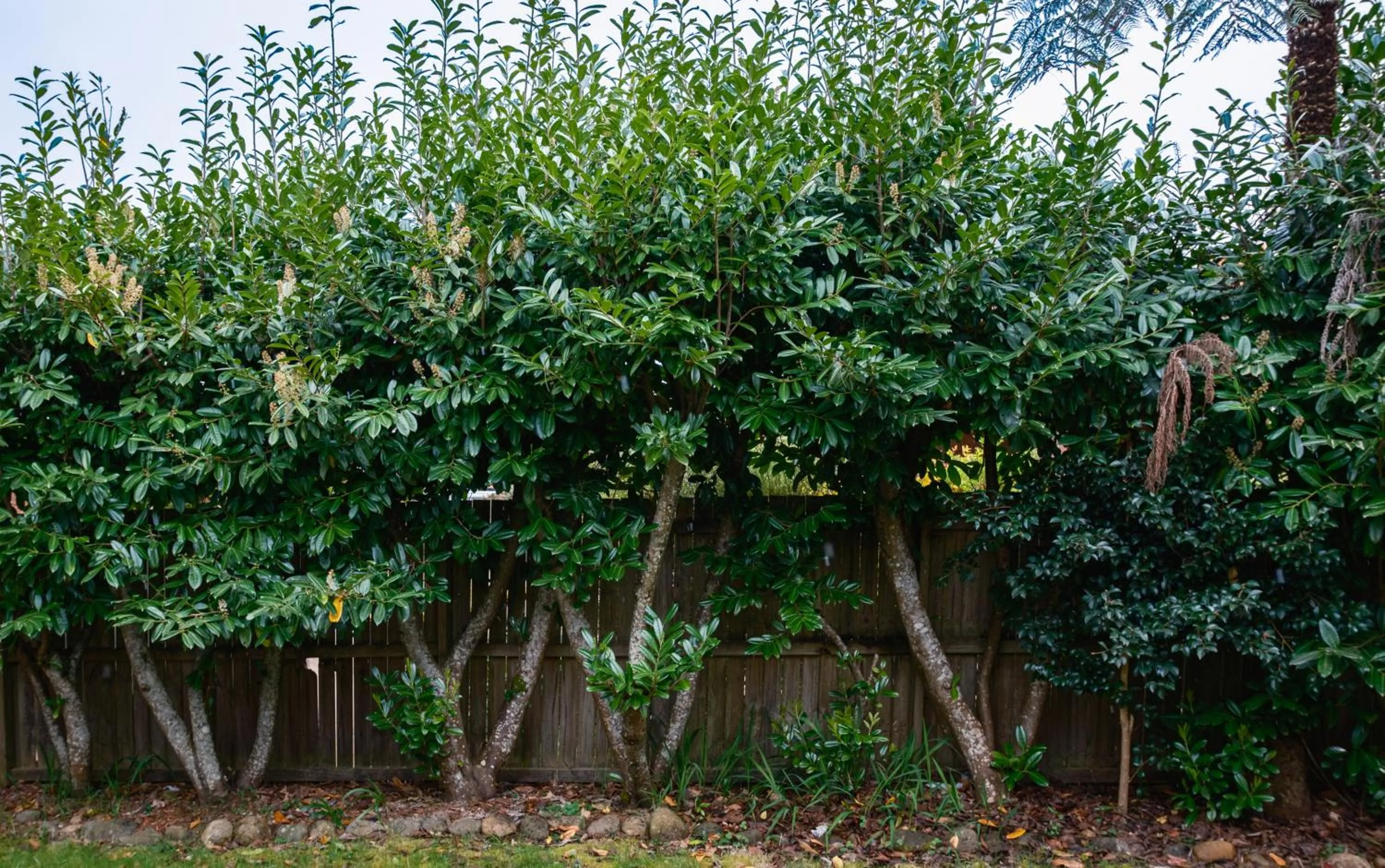 La Maison Boutique Hotel