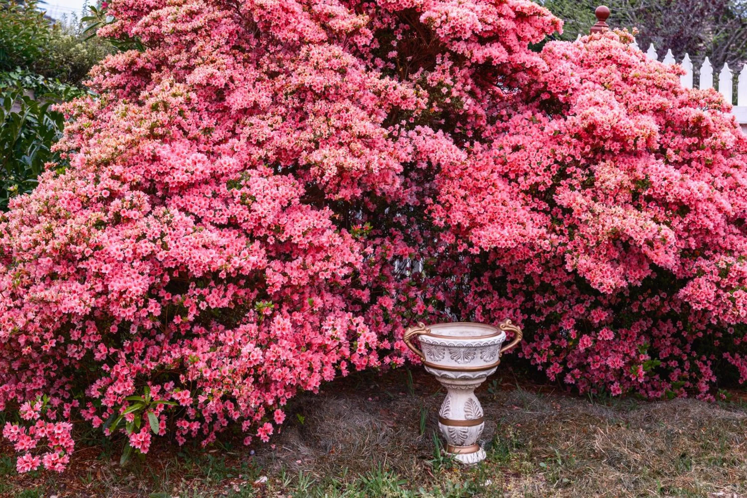 La Maison Boutique Hotel