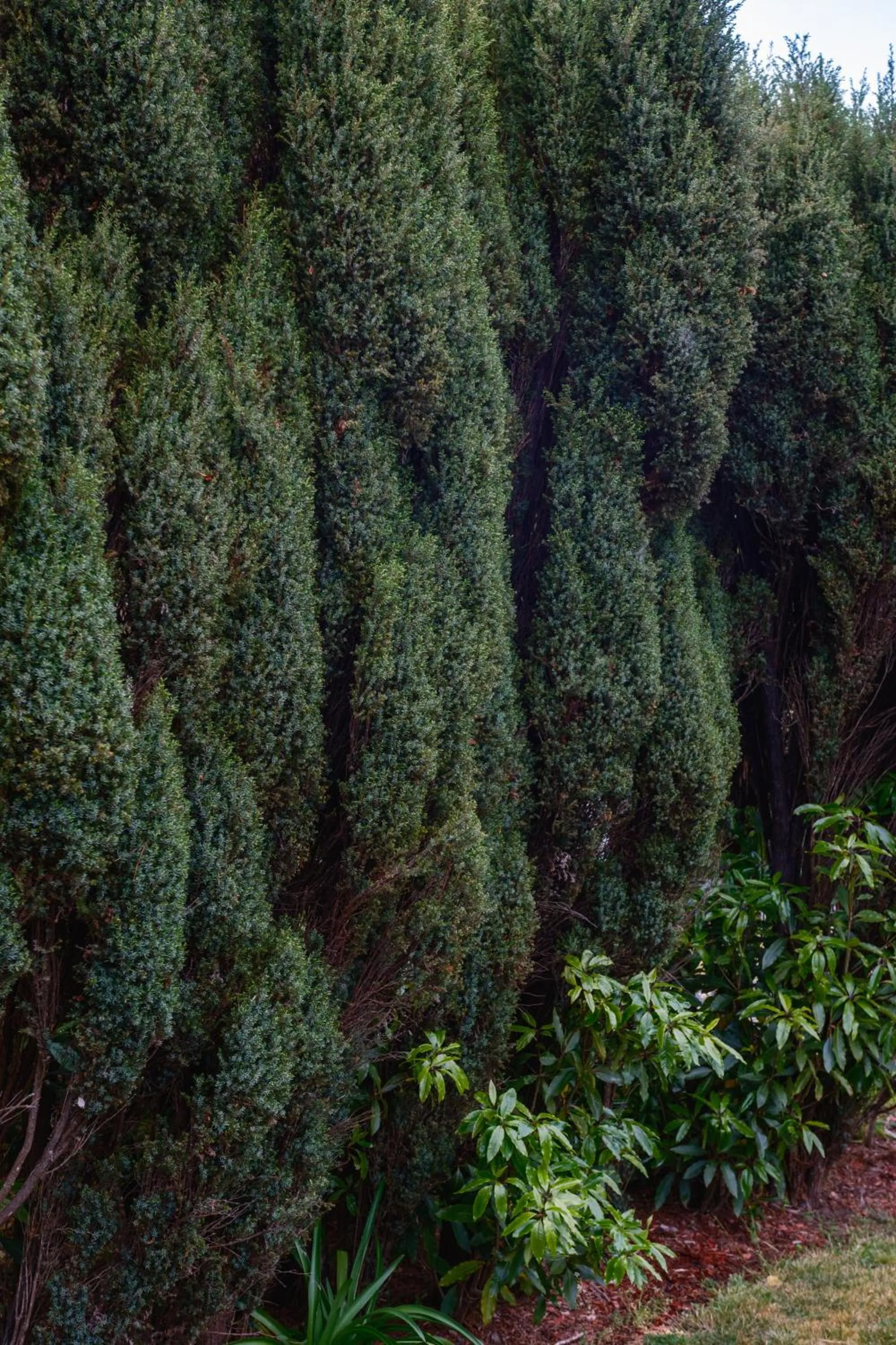 La Maison Boutique Hotel