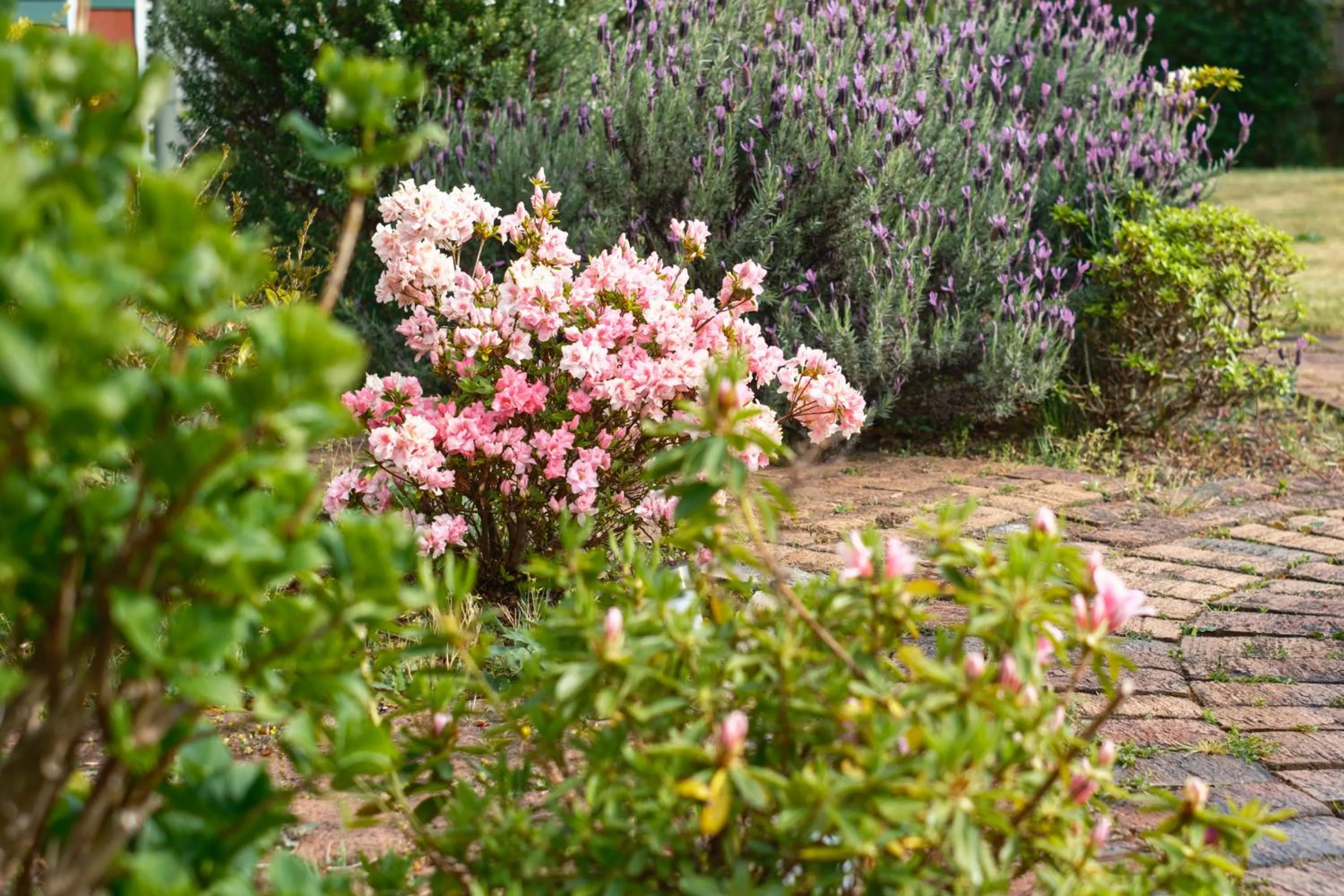 La Maison Boutique Hotel