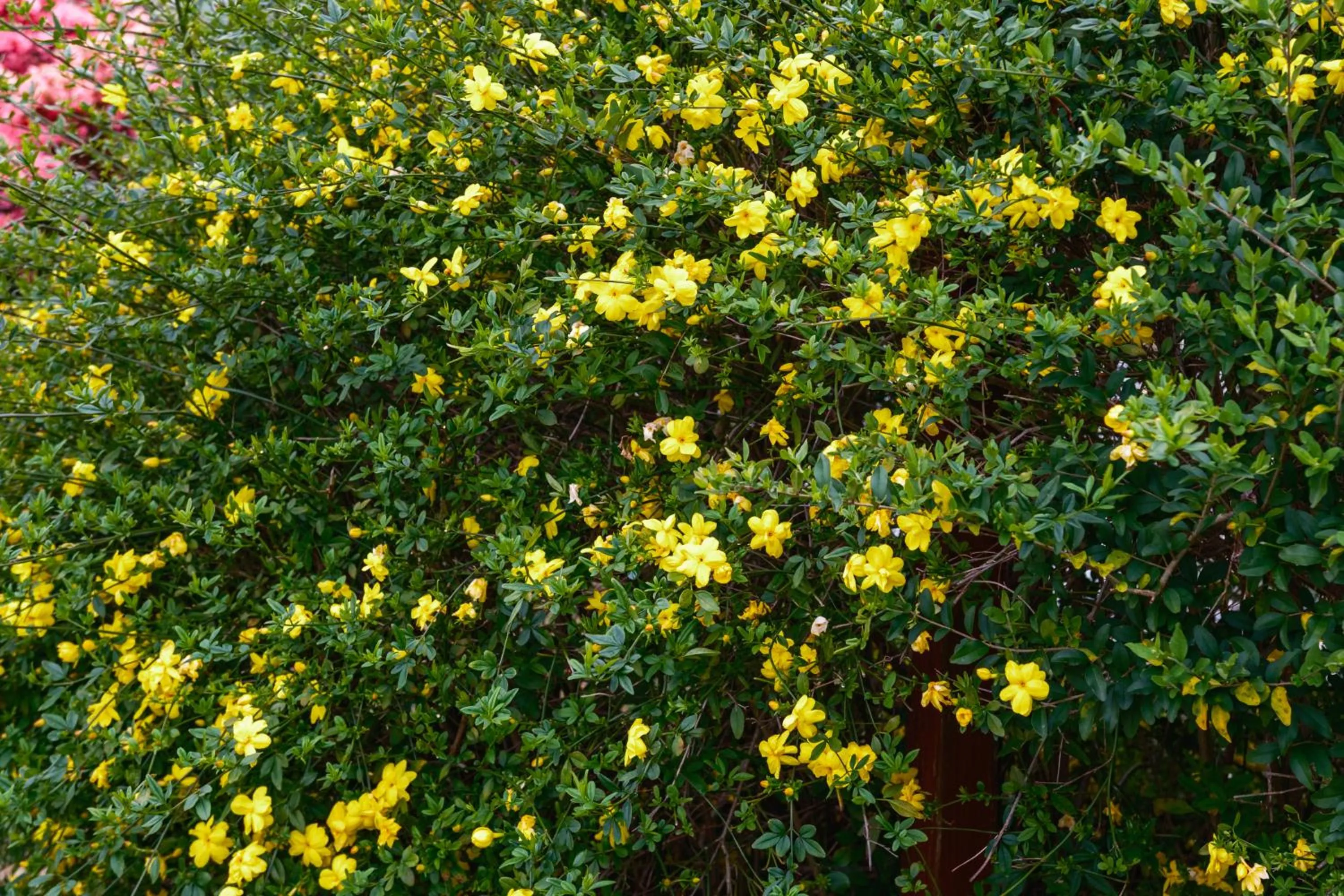 La Maison Boutique Hotel