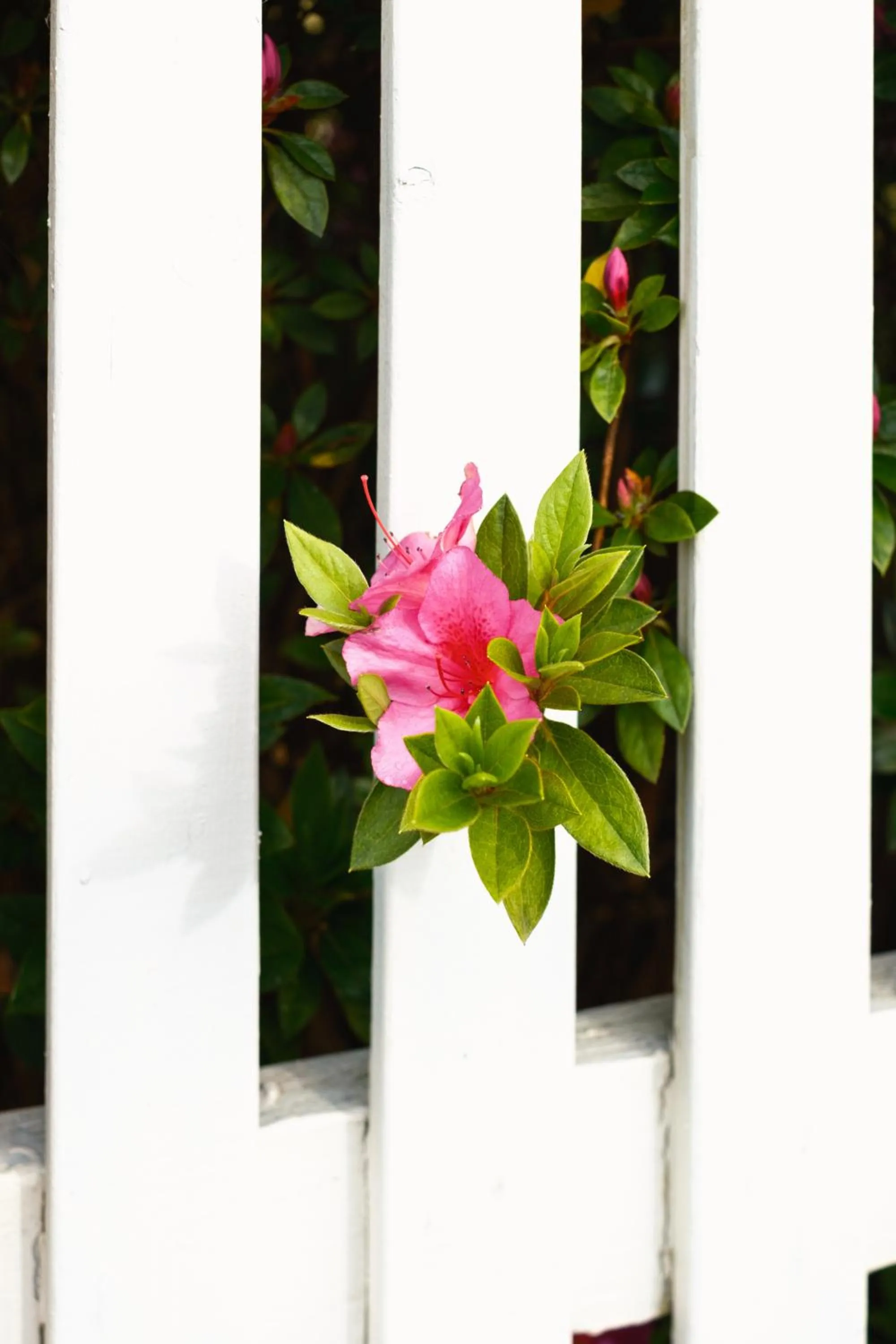 La Maison Boutique Hotel