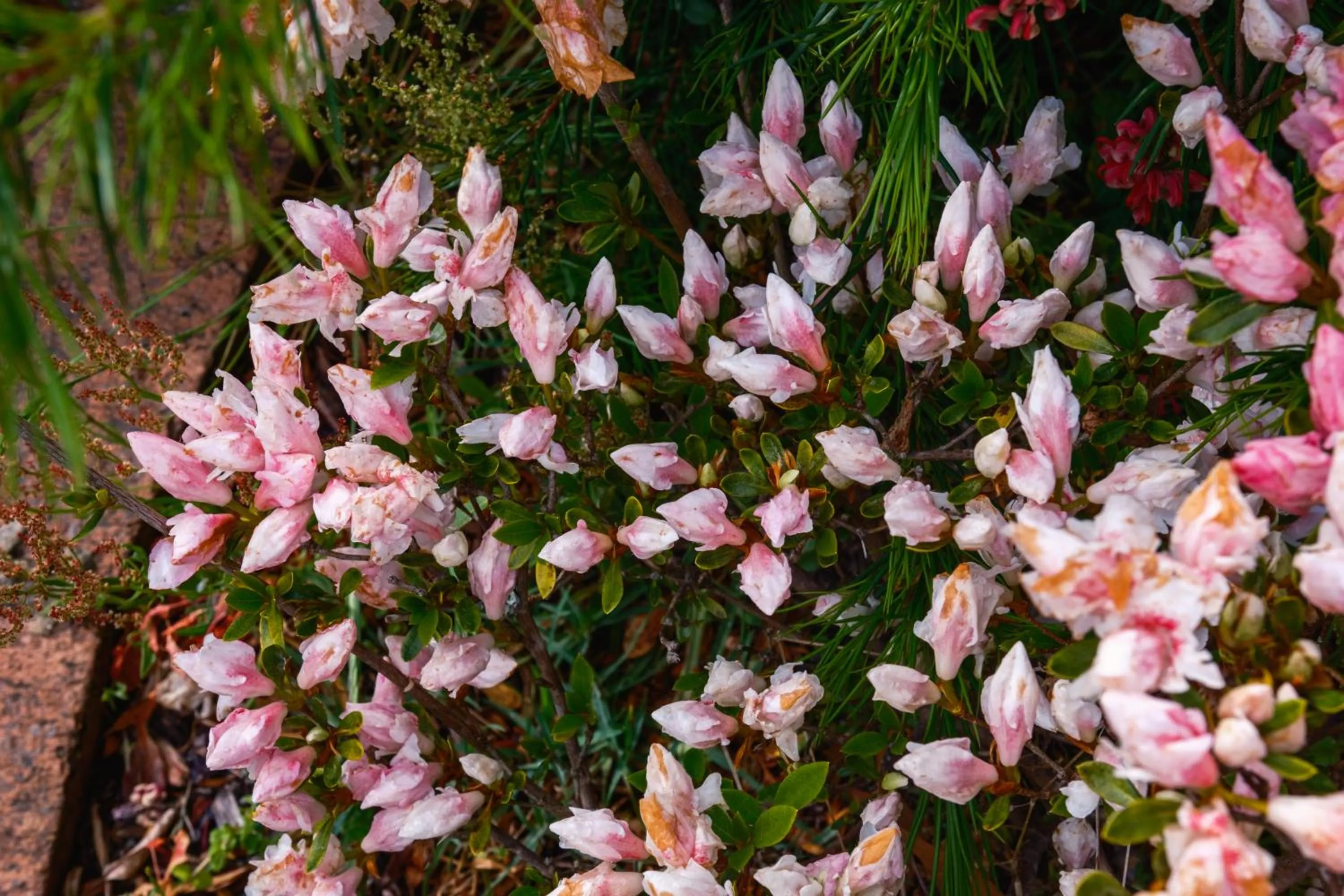 La Maison Boutique Hotel