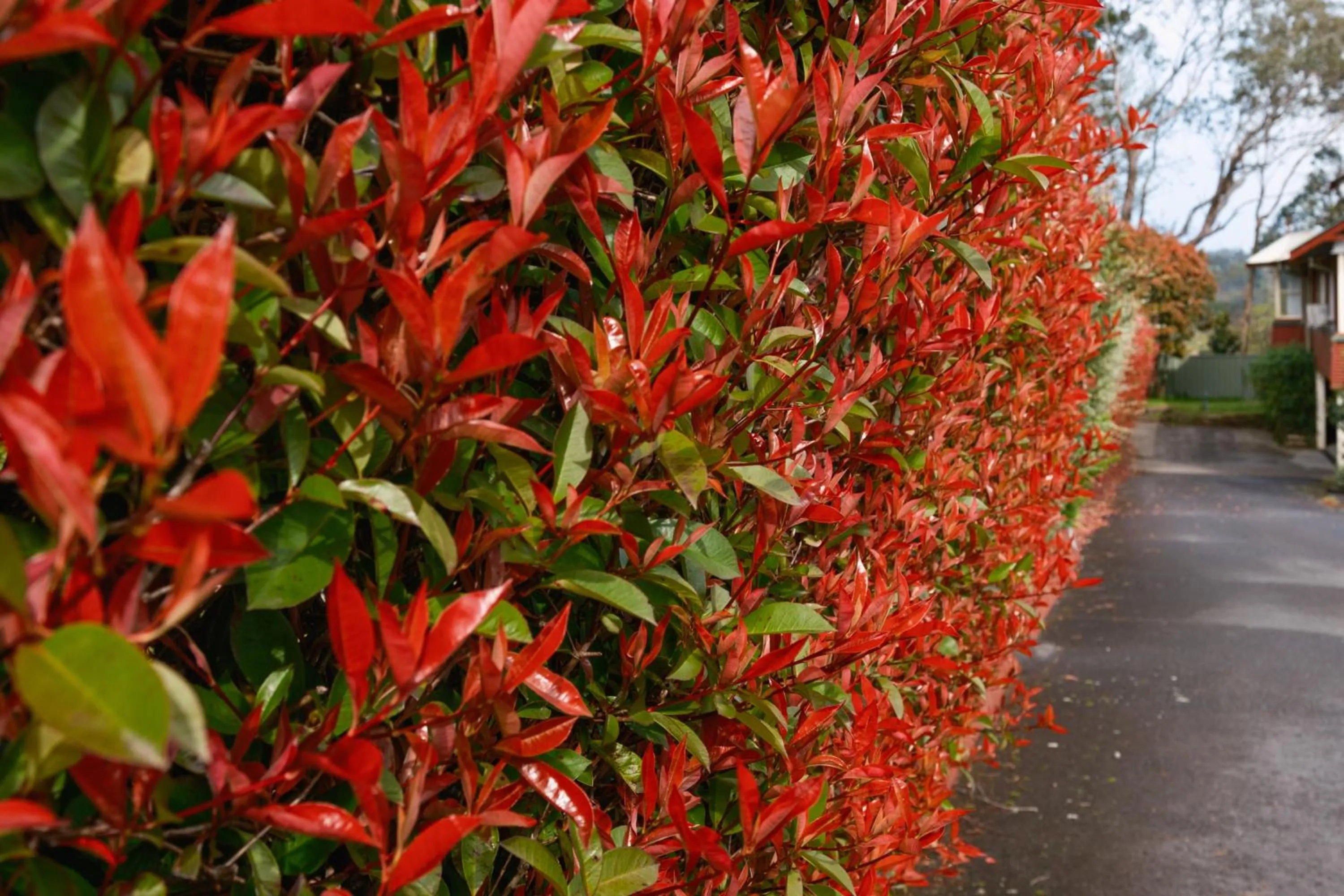 La Maison Boutique Hotel