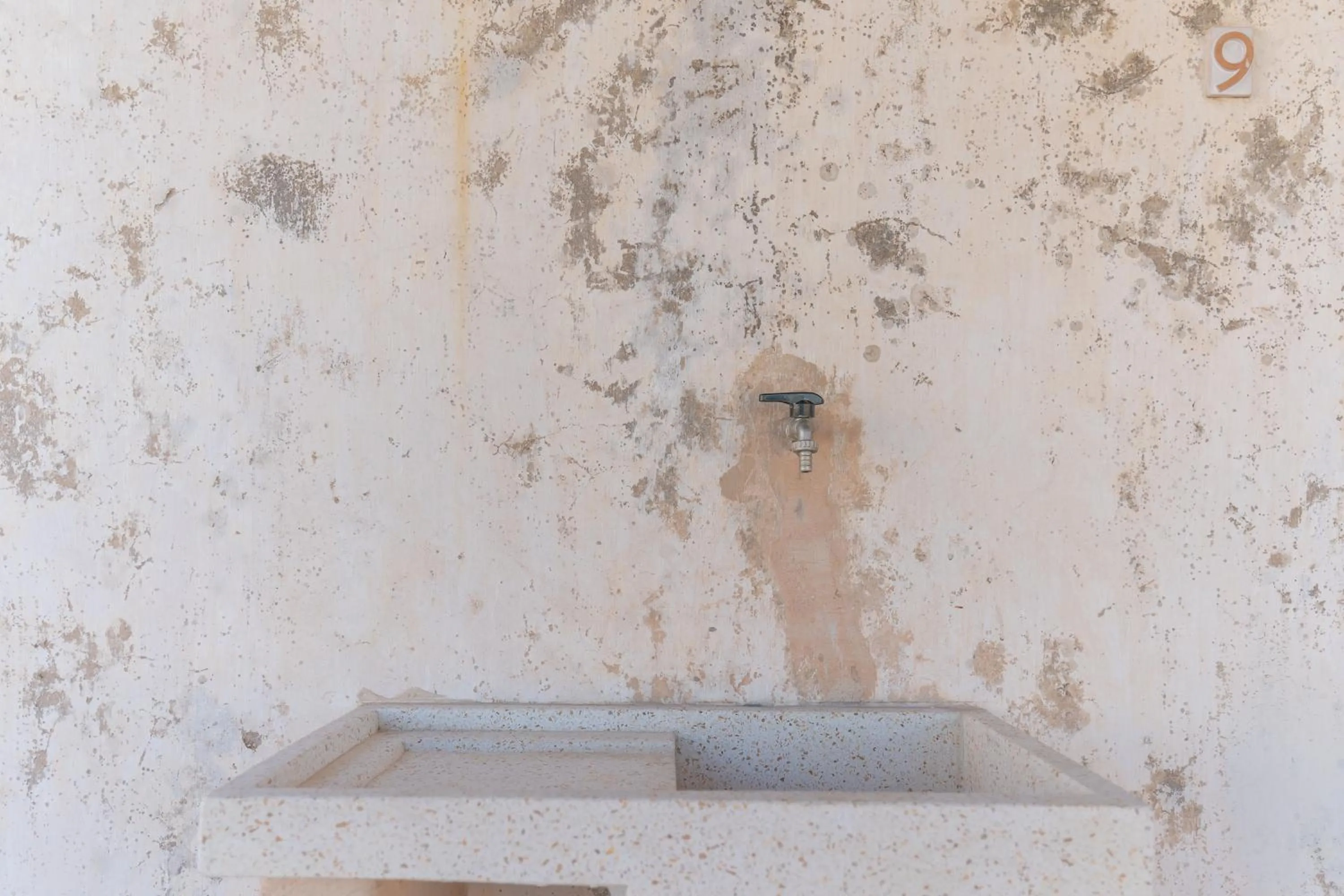 Decorative detail in Casina Bellanova