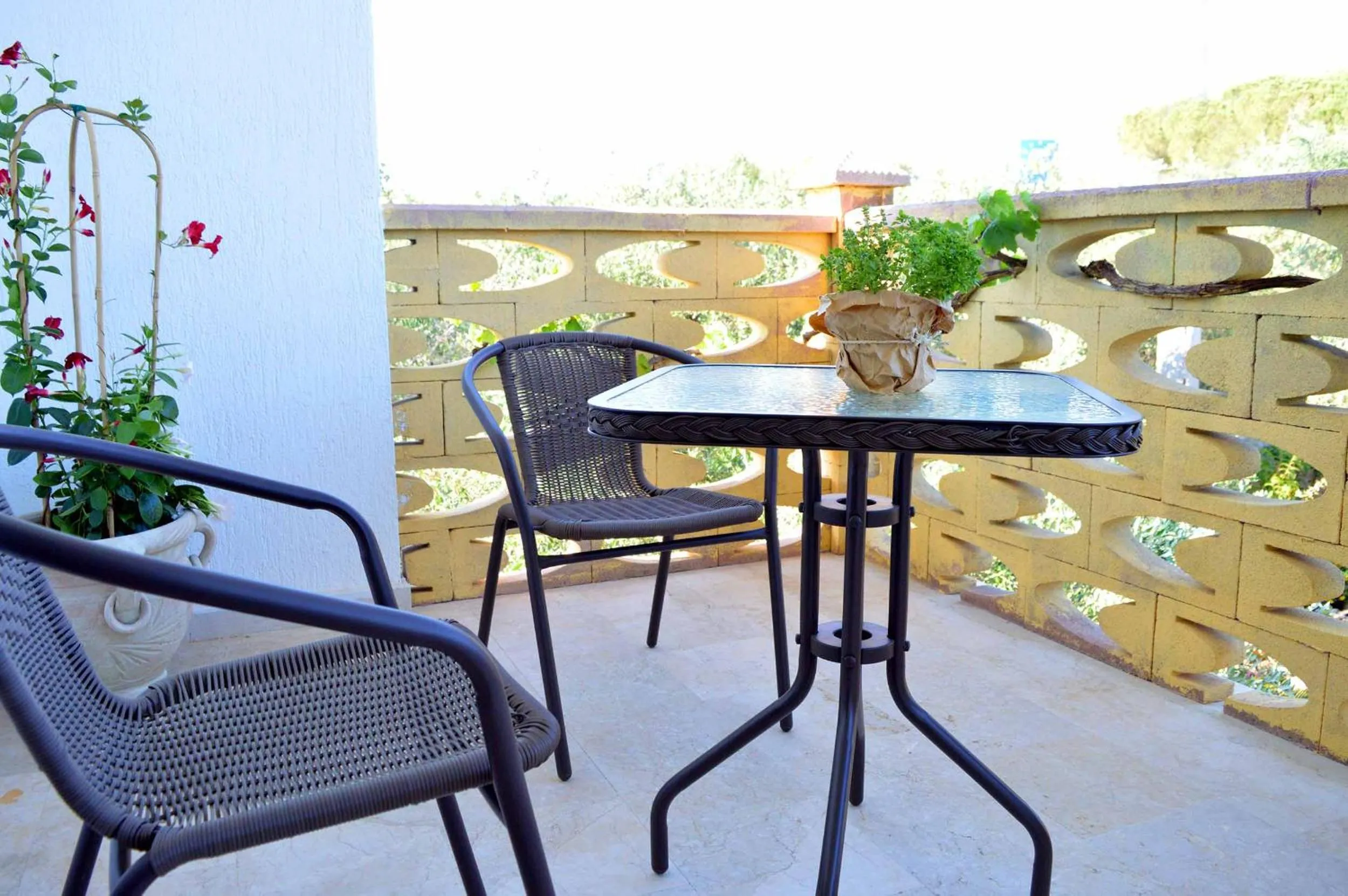 B&B Profumo di Alloro