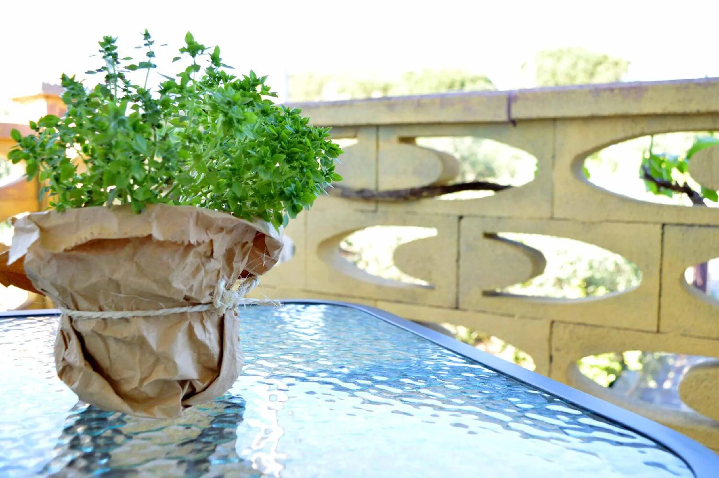 B&B Profumo di Alloro