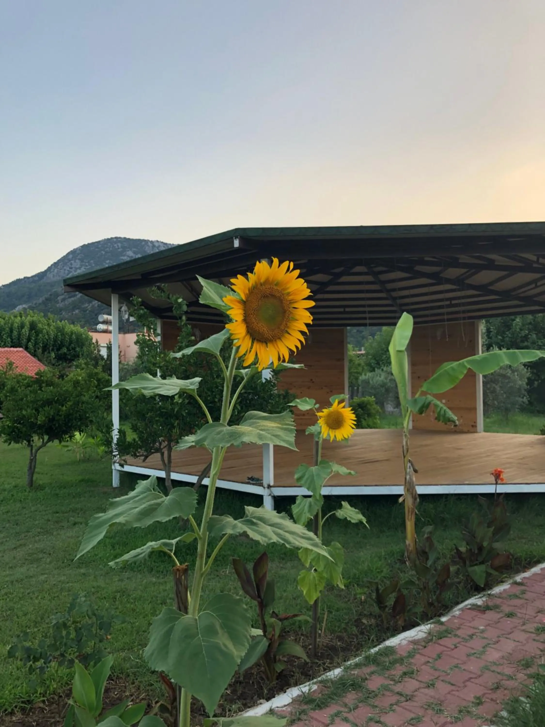 Cirali Armira Bungalow
