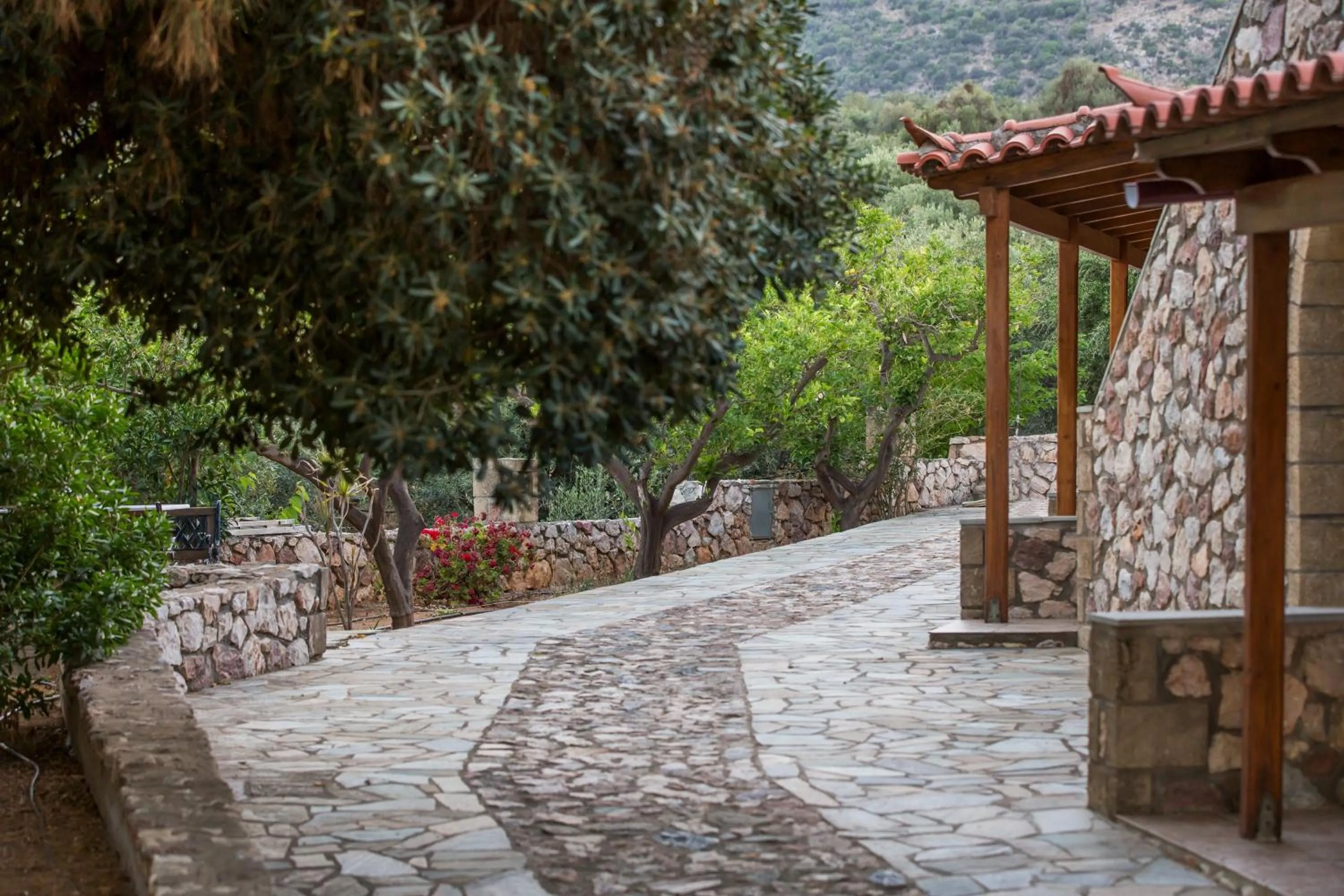 Facade/entrance in Georgia's Houses (Melitzanakia)
