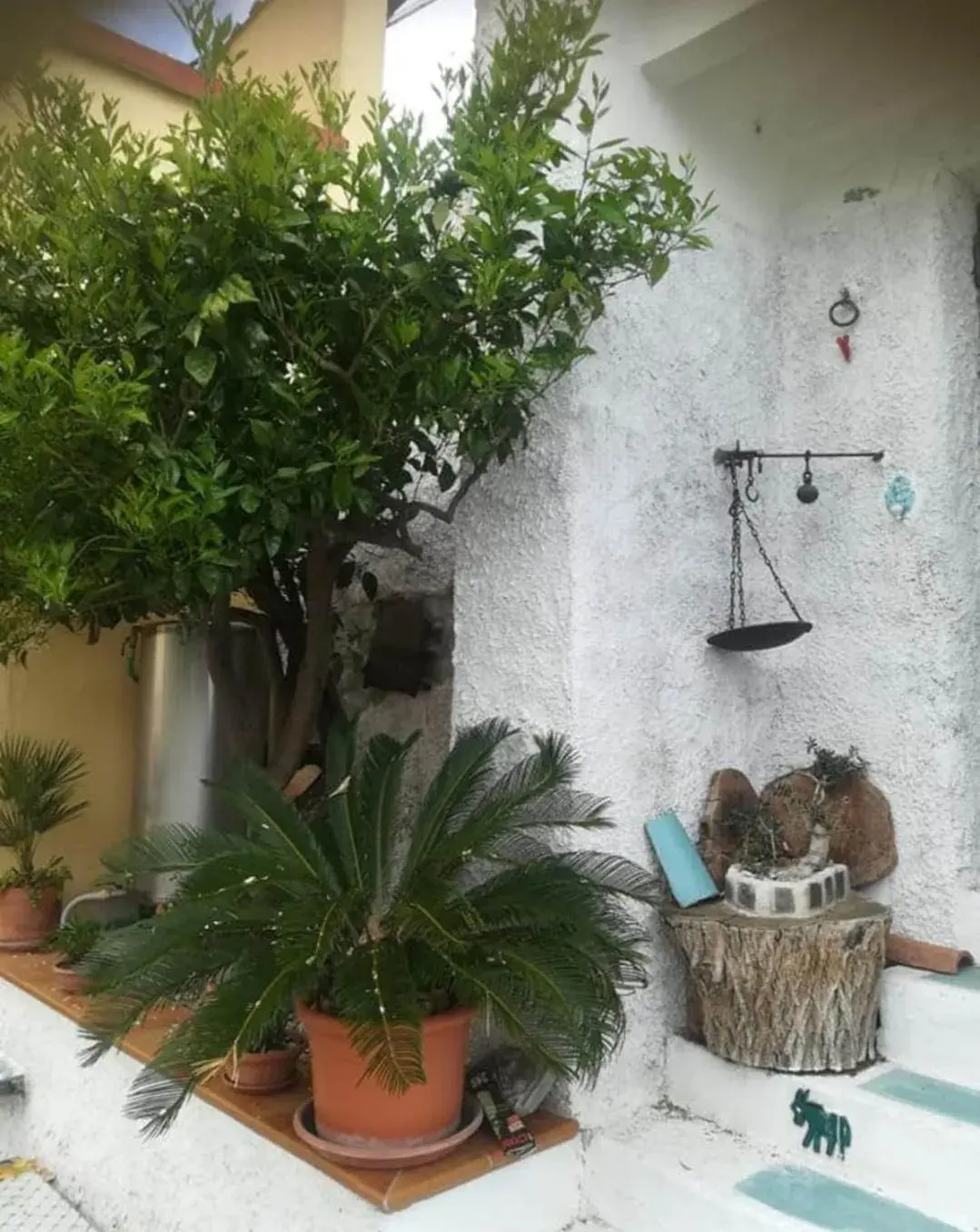 Il Covo delle Civette Il Covo delle Civette