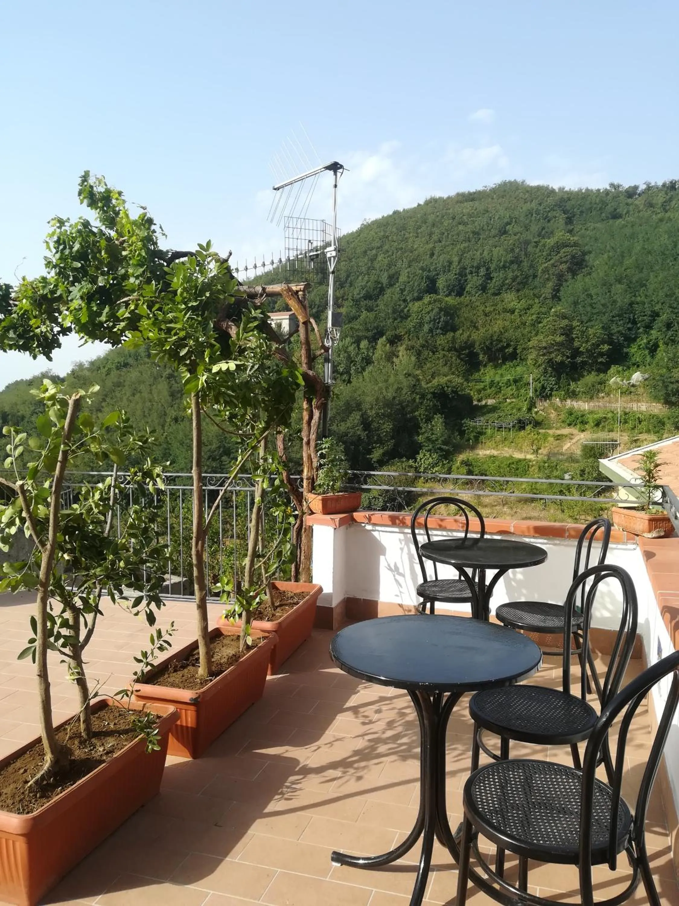 Il Covo delle Civette