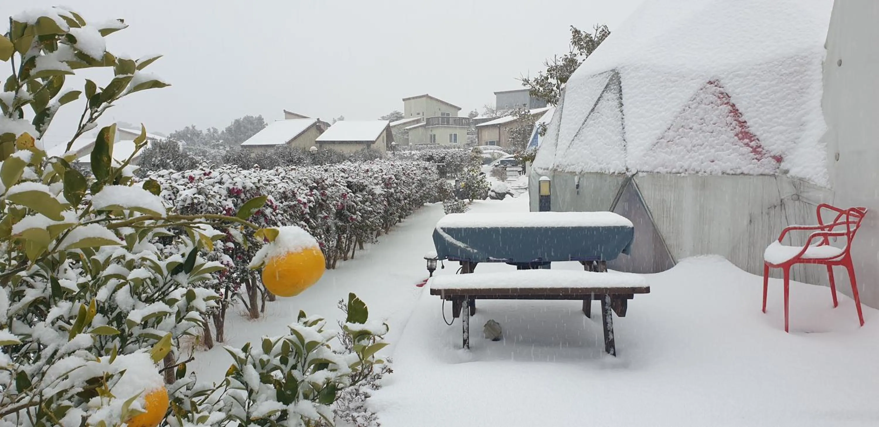 Jeju Starlight Glamping