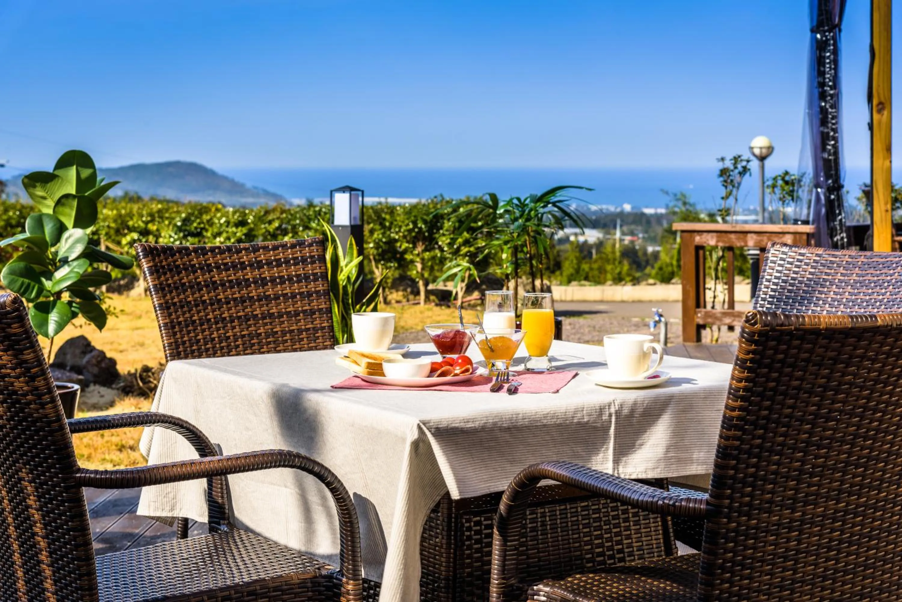 Restaurant/places to eat in Jeju Starlight Glamping