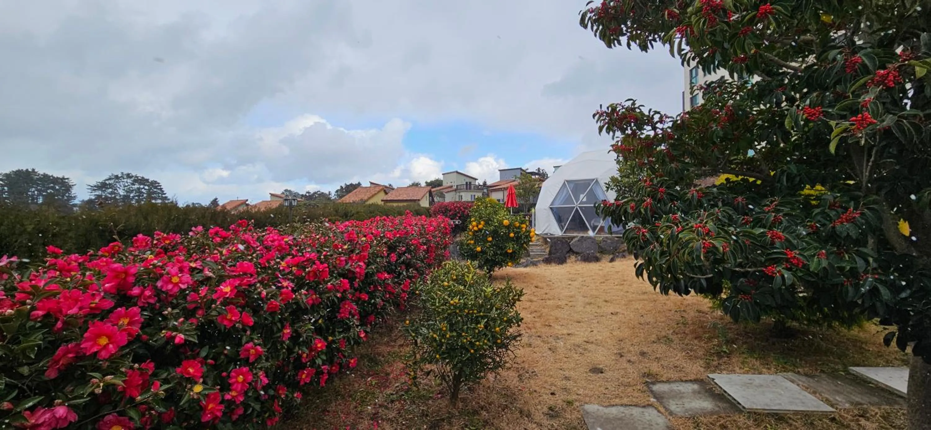 Jeju Starlight Glamping