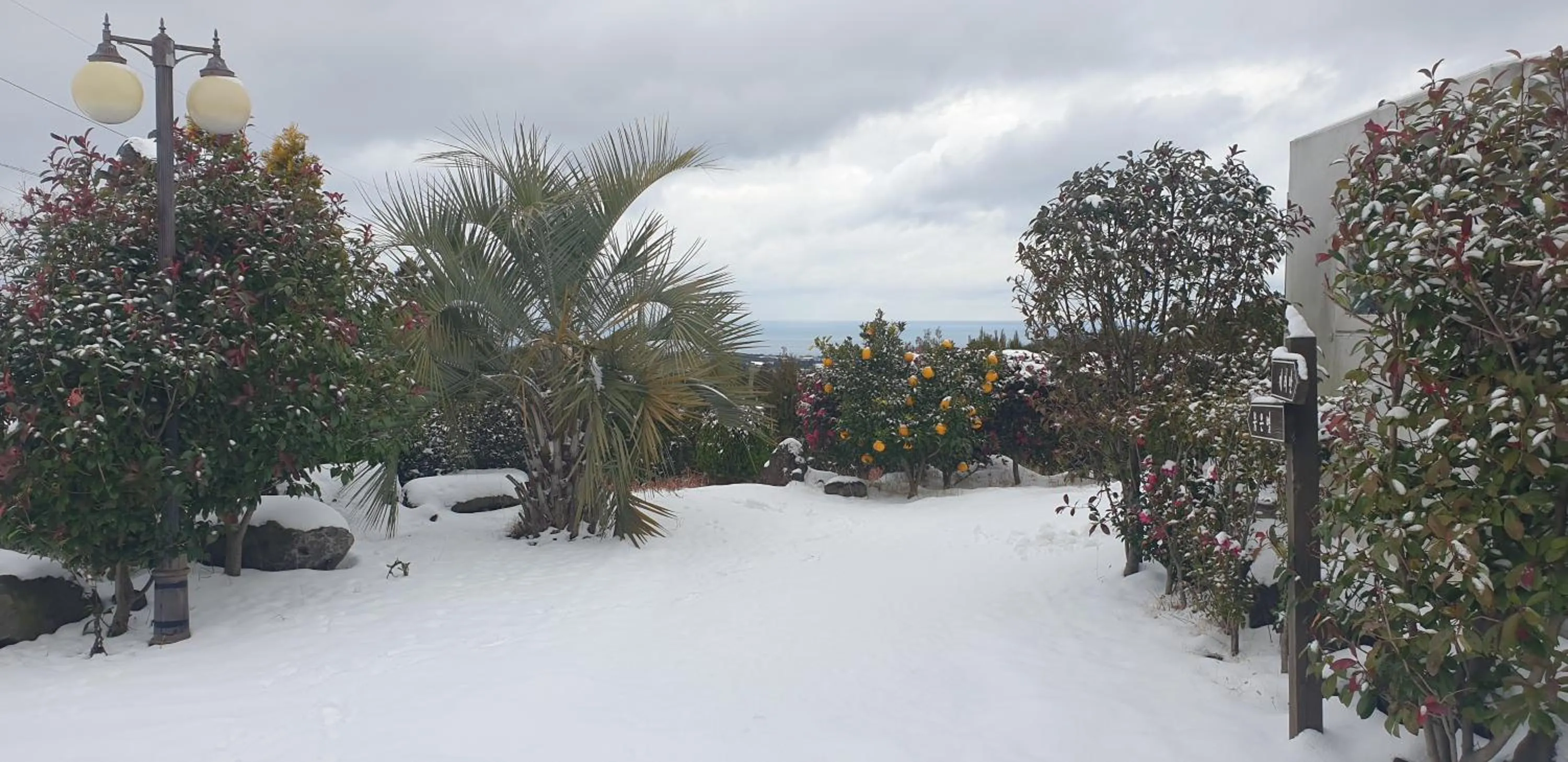 Jeju Starlight Glamping