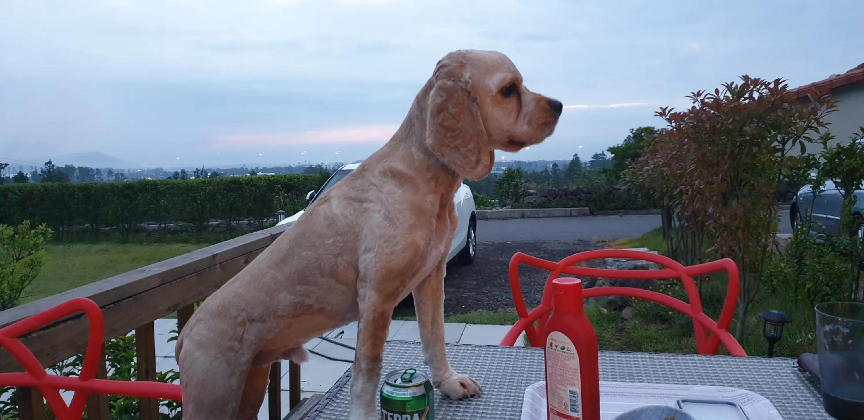 Communal lounge/ TV room in Jeju Starlight Glamping