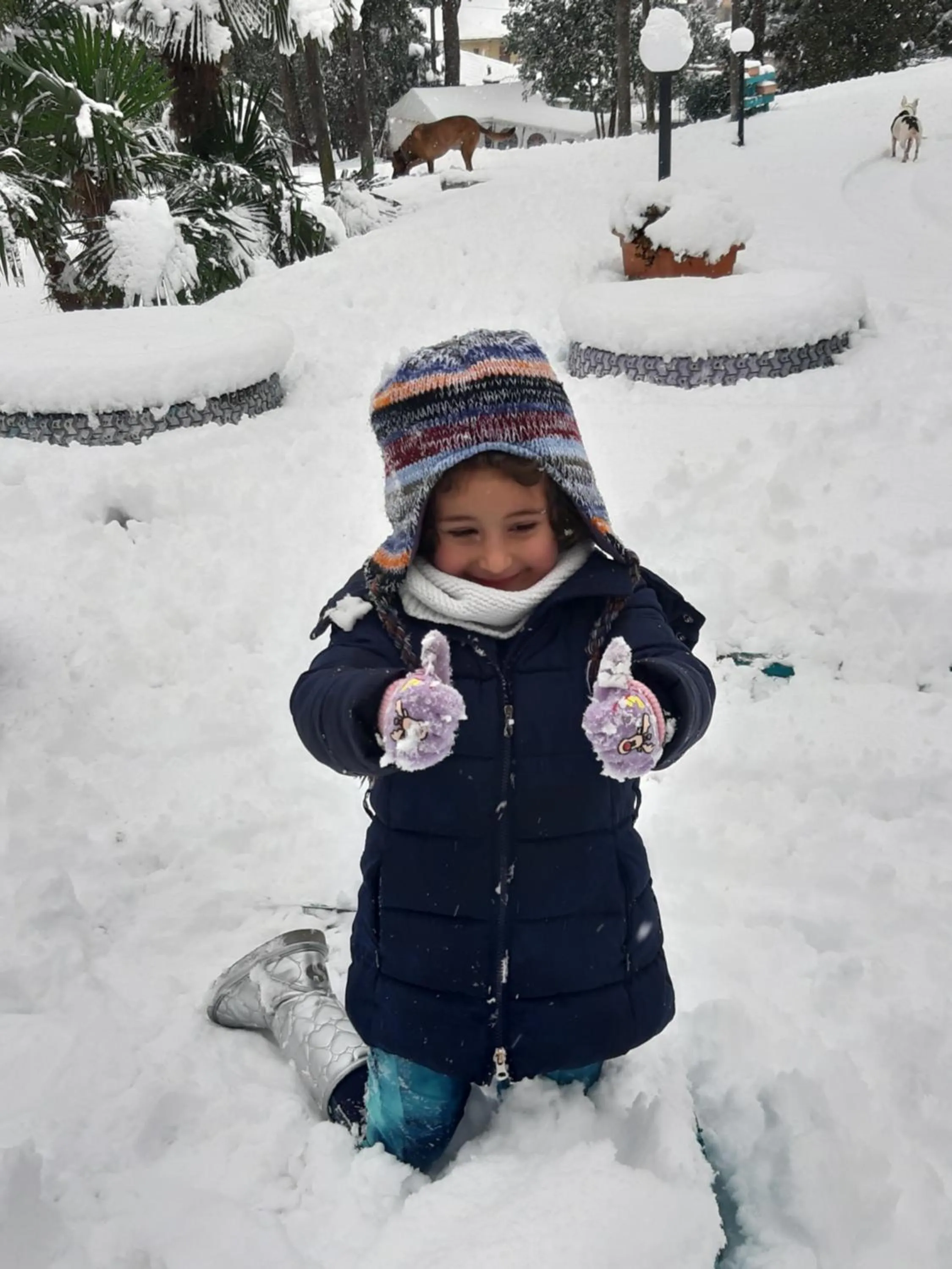 Garden in Ostello Verbania