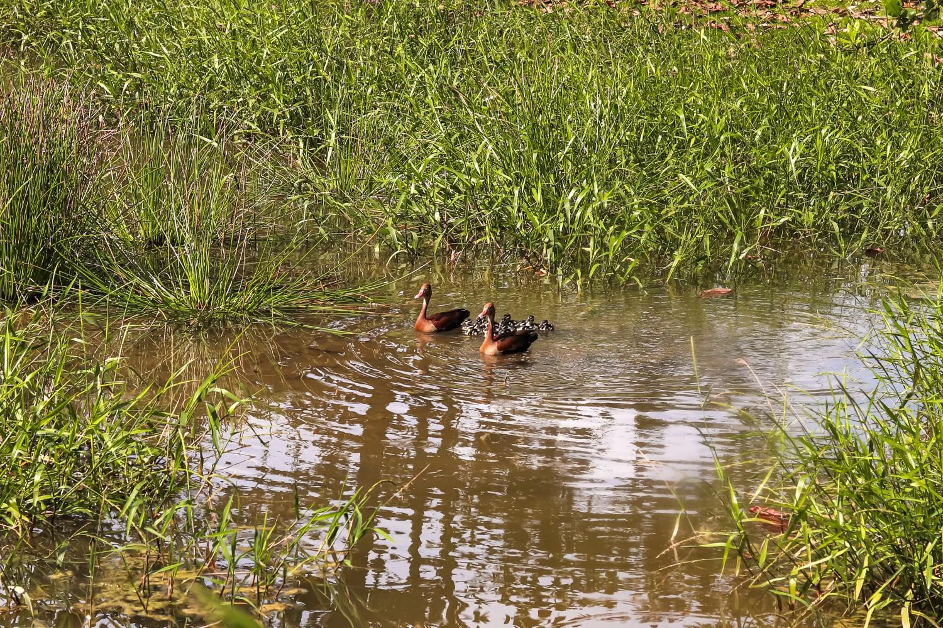 Animals in Los Colores Ecoparque