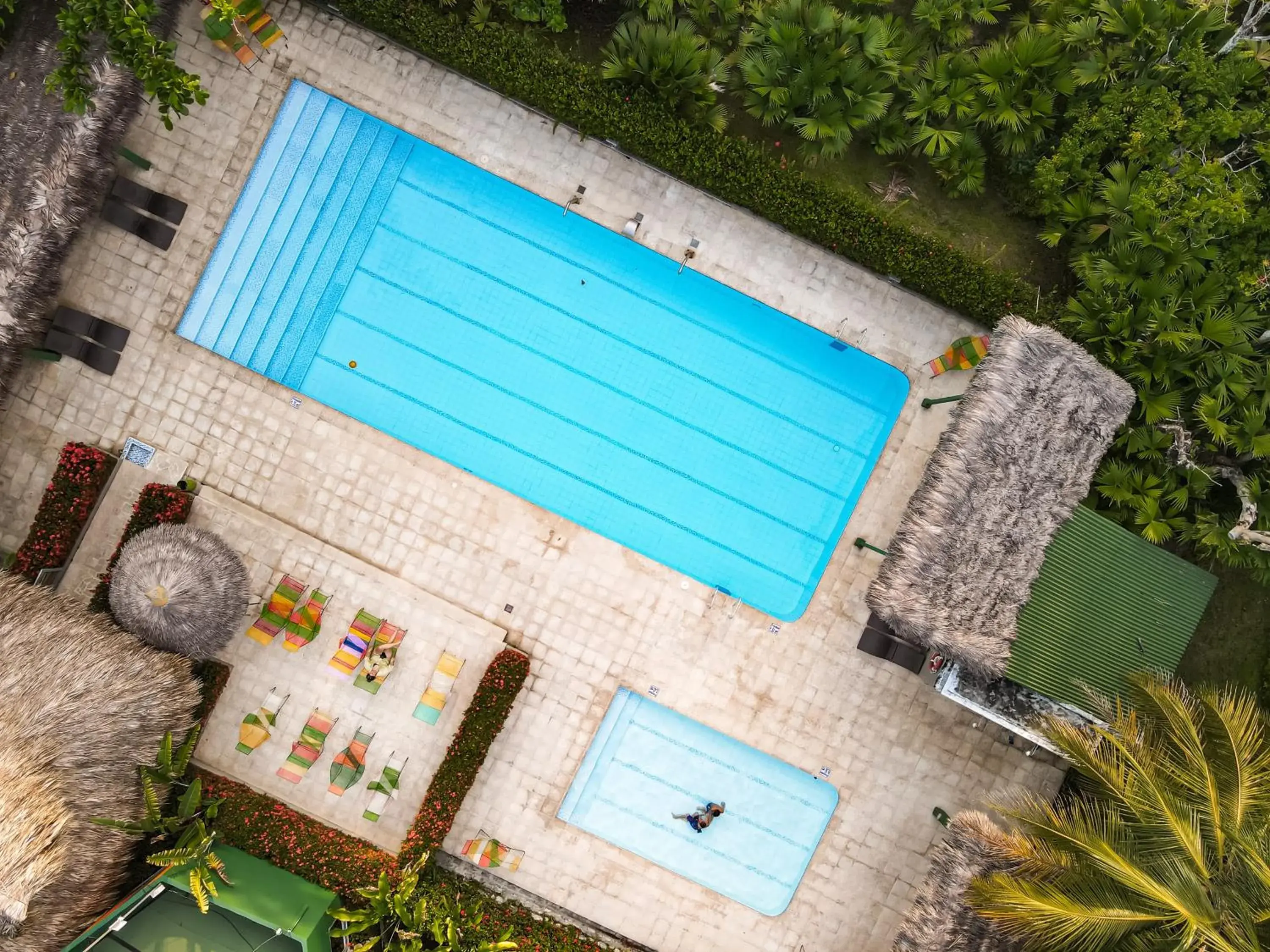 Bird's eye view in Los Colores Ecoparque Bird's eye view in Los Colores Ecoparque