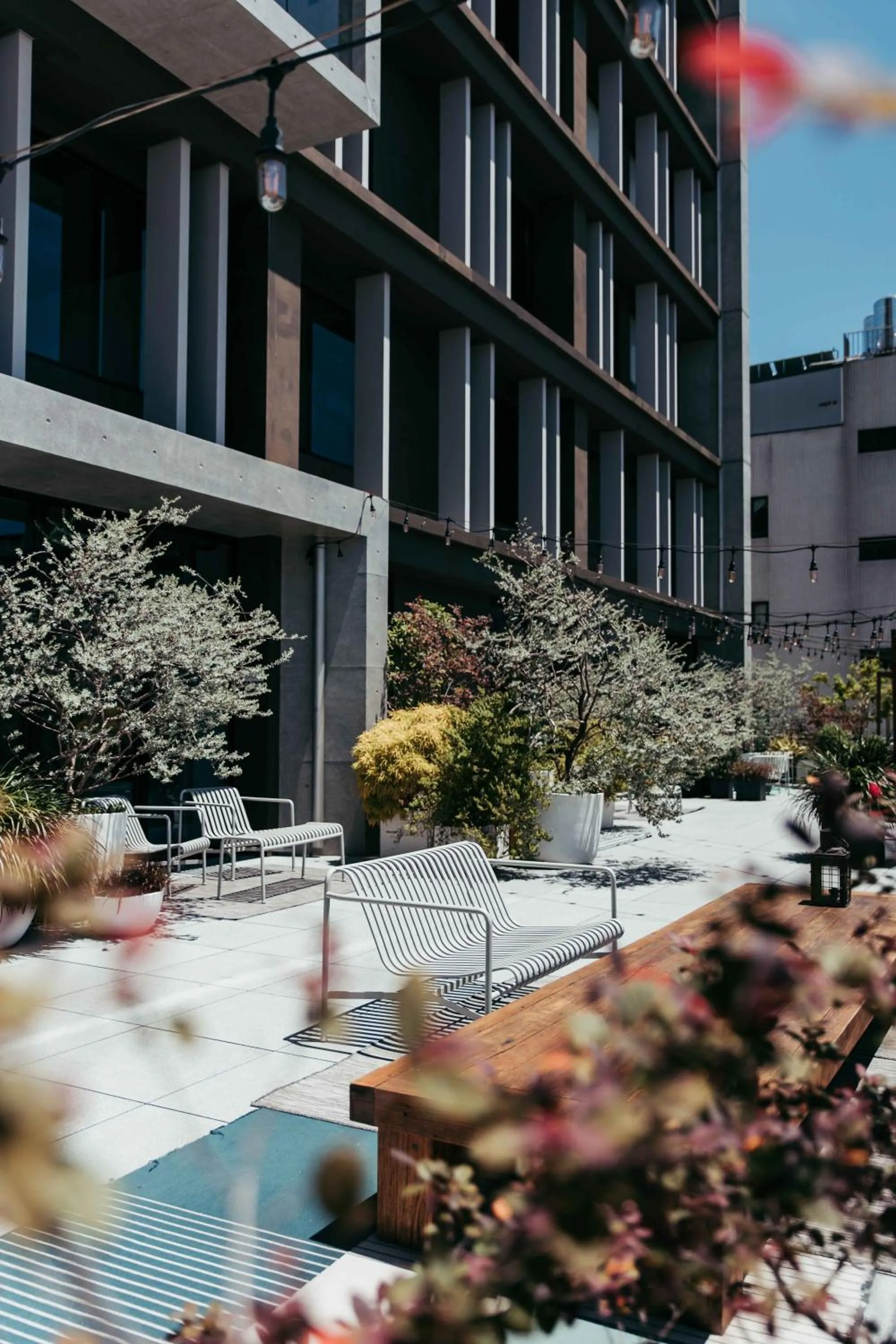 Garden view in U.I.J Hotel & Hostel