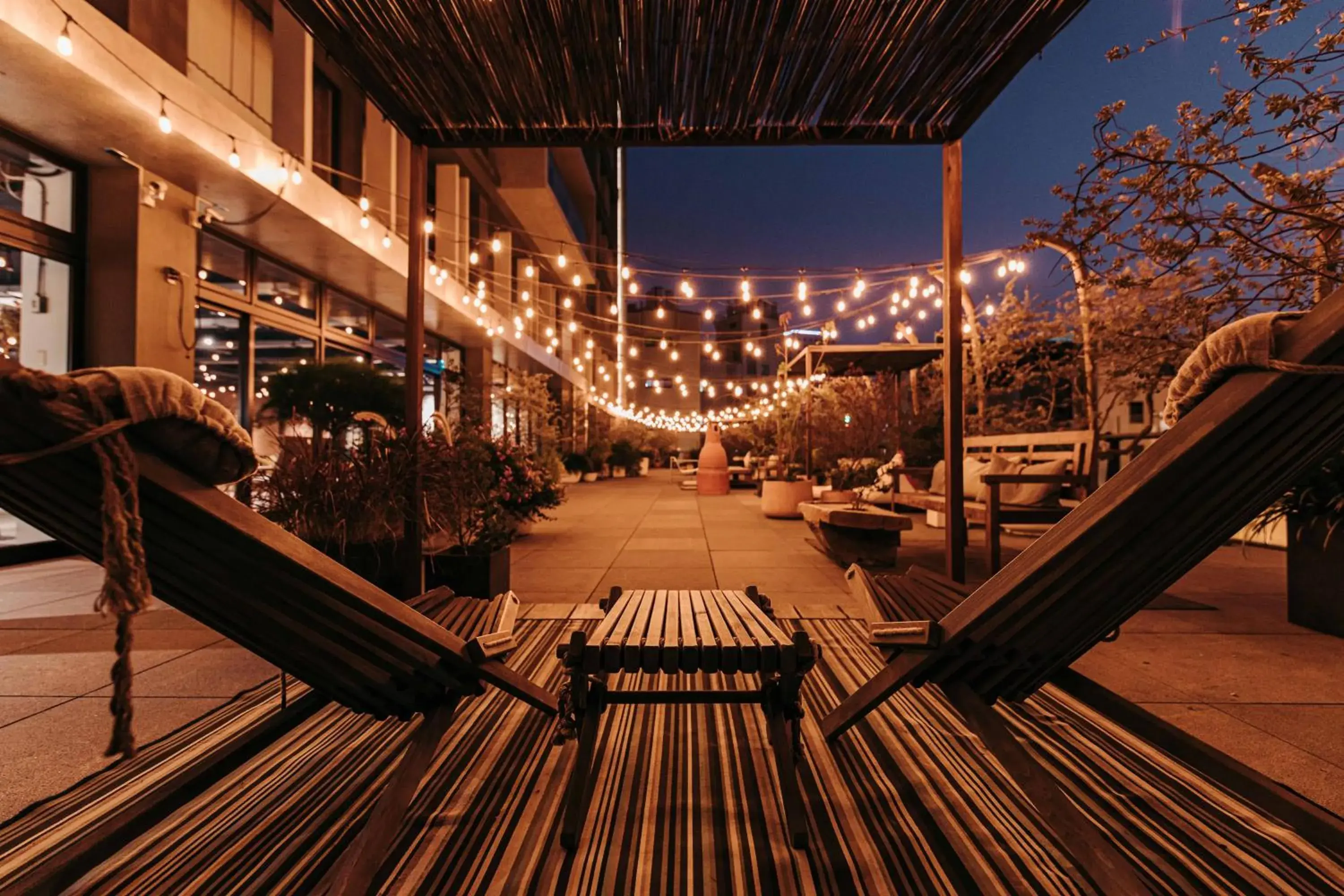 Garden view in U.I.J Hotel & Hostel Garden view in U.I.J Hotel & Hostel