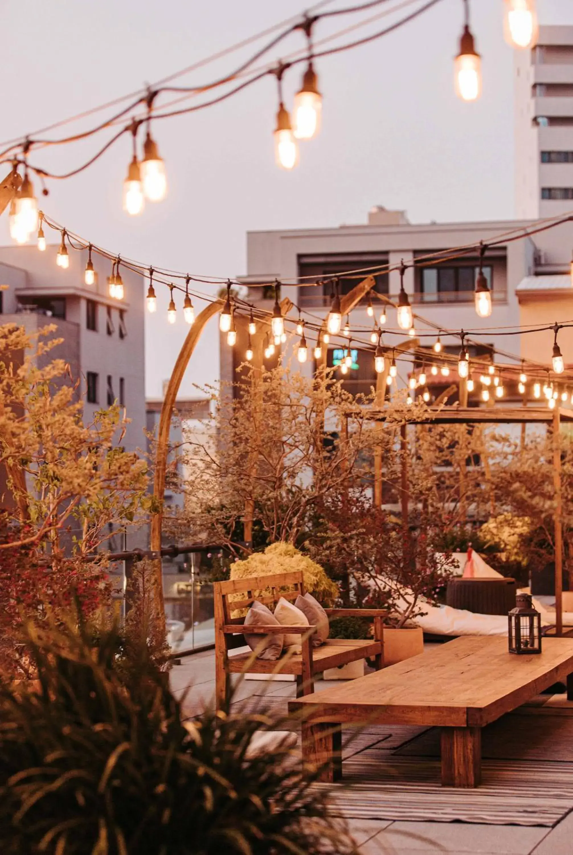 Garden view in U.I.J Hotel & Hostel Garden view in U.I.J Hotel & Hostel