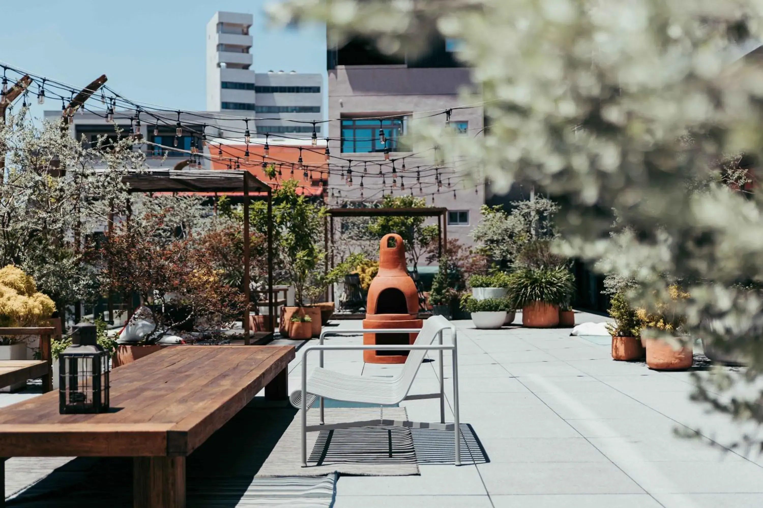 Garden view in U.I.J Hotel & Hostel Garden view in U.I.J Hotel & Hostel