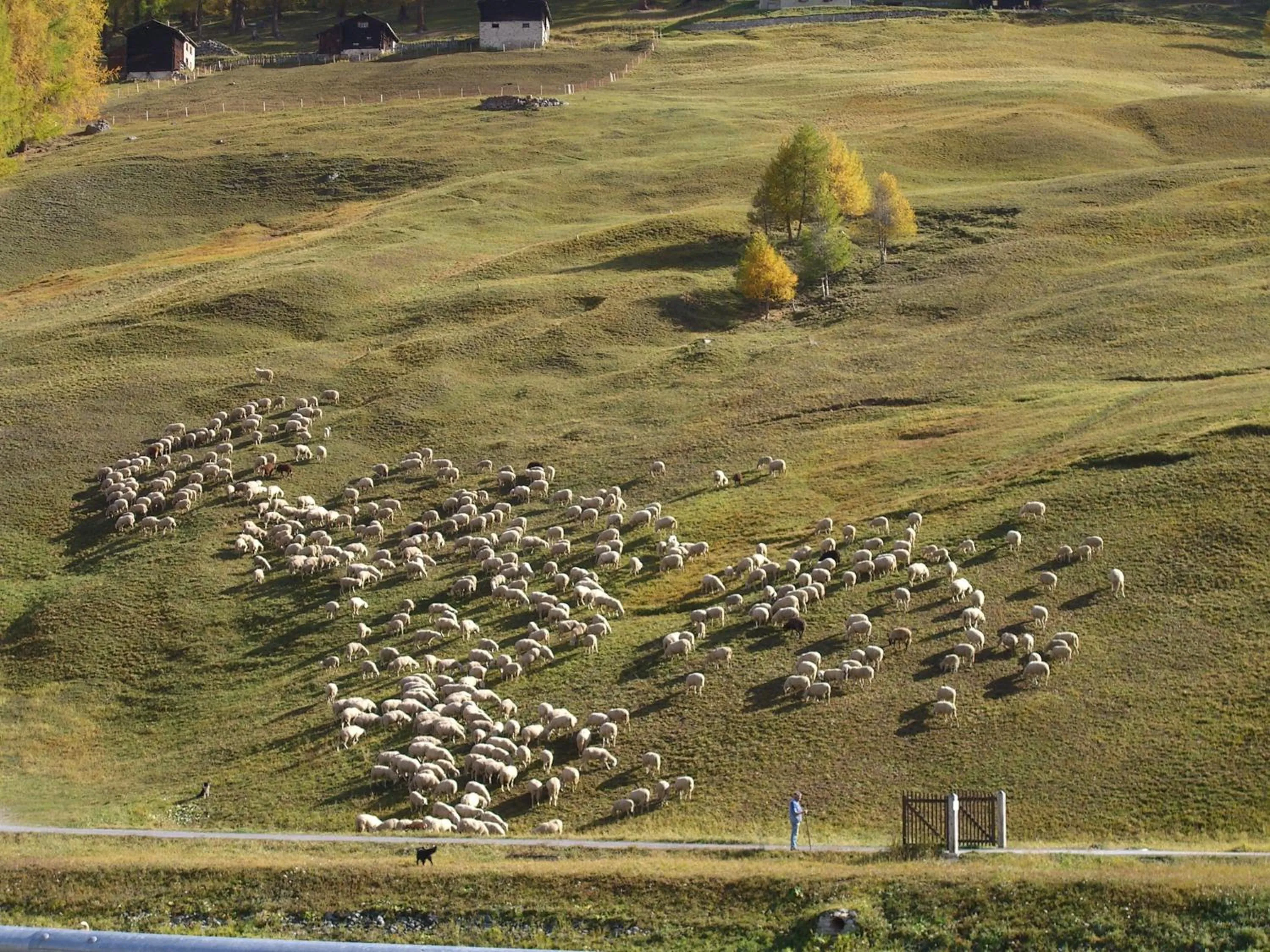 Day in Chalet Del Sole per gruppi