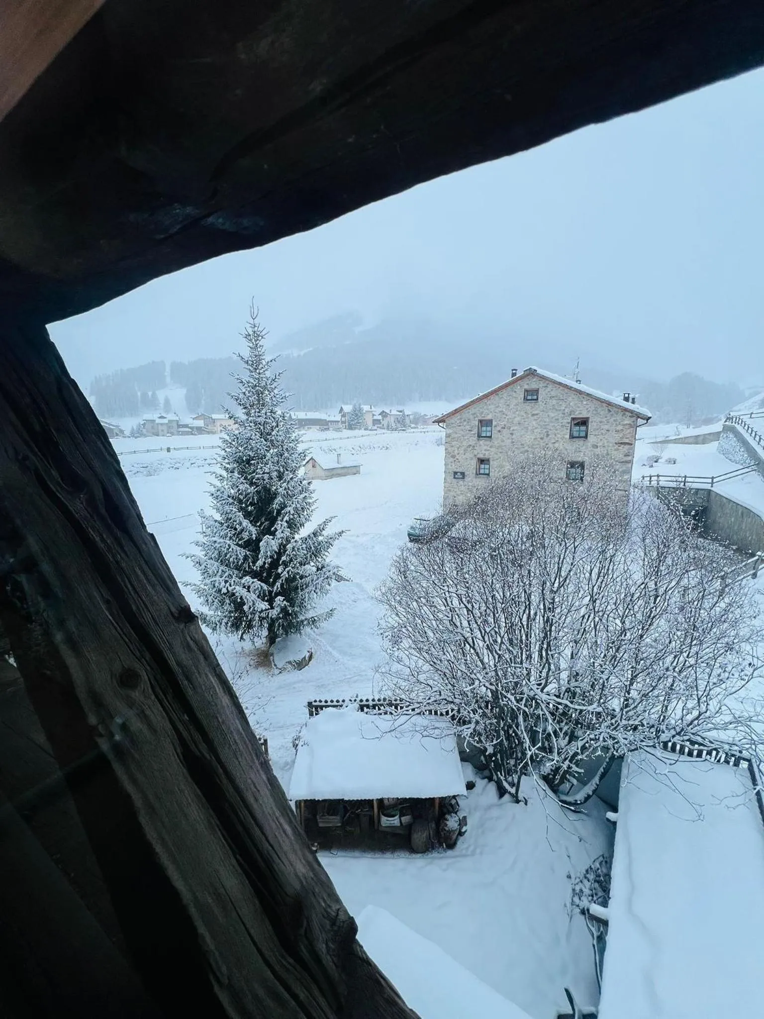 View (from property/room) in Chalet Del Sole per gruppi