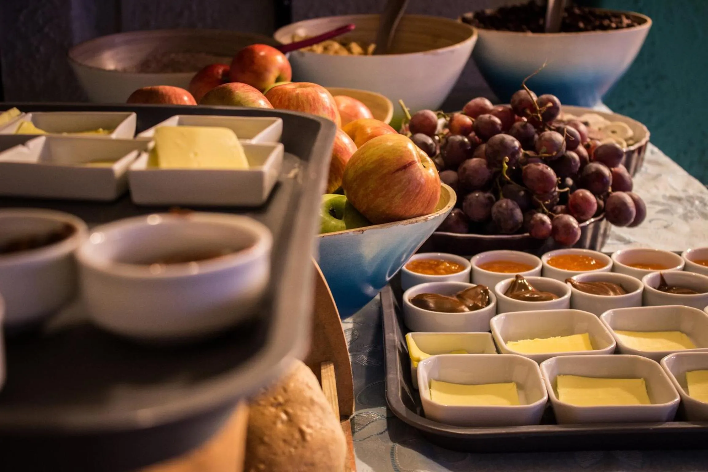 Activities in Hostal Forestal