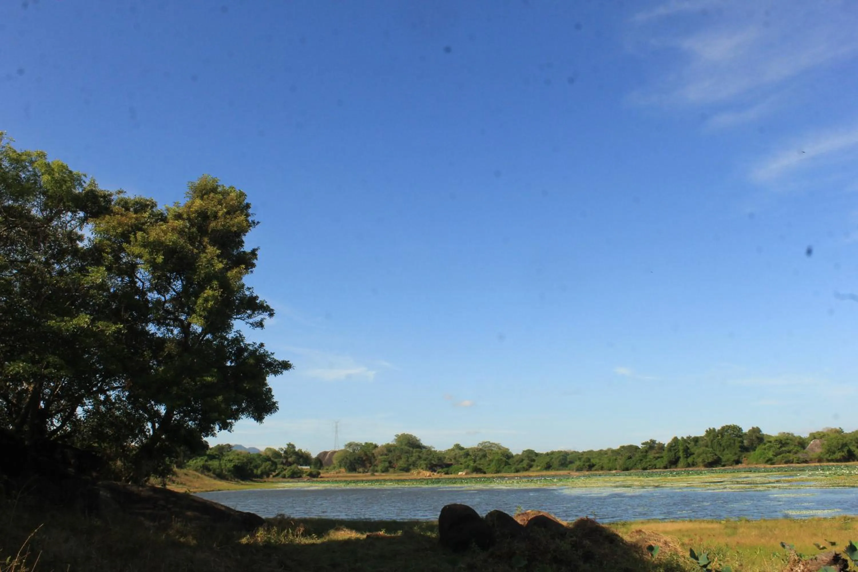 Natural landscape in Serenity Sigiri Resort