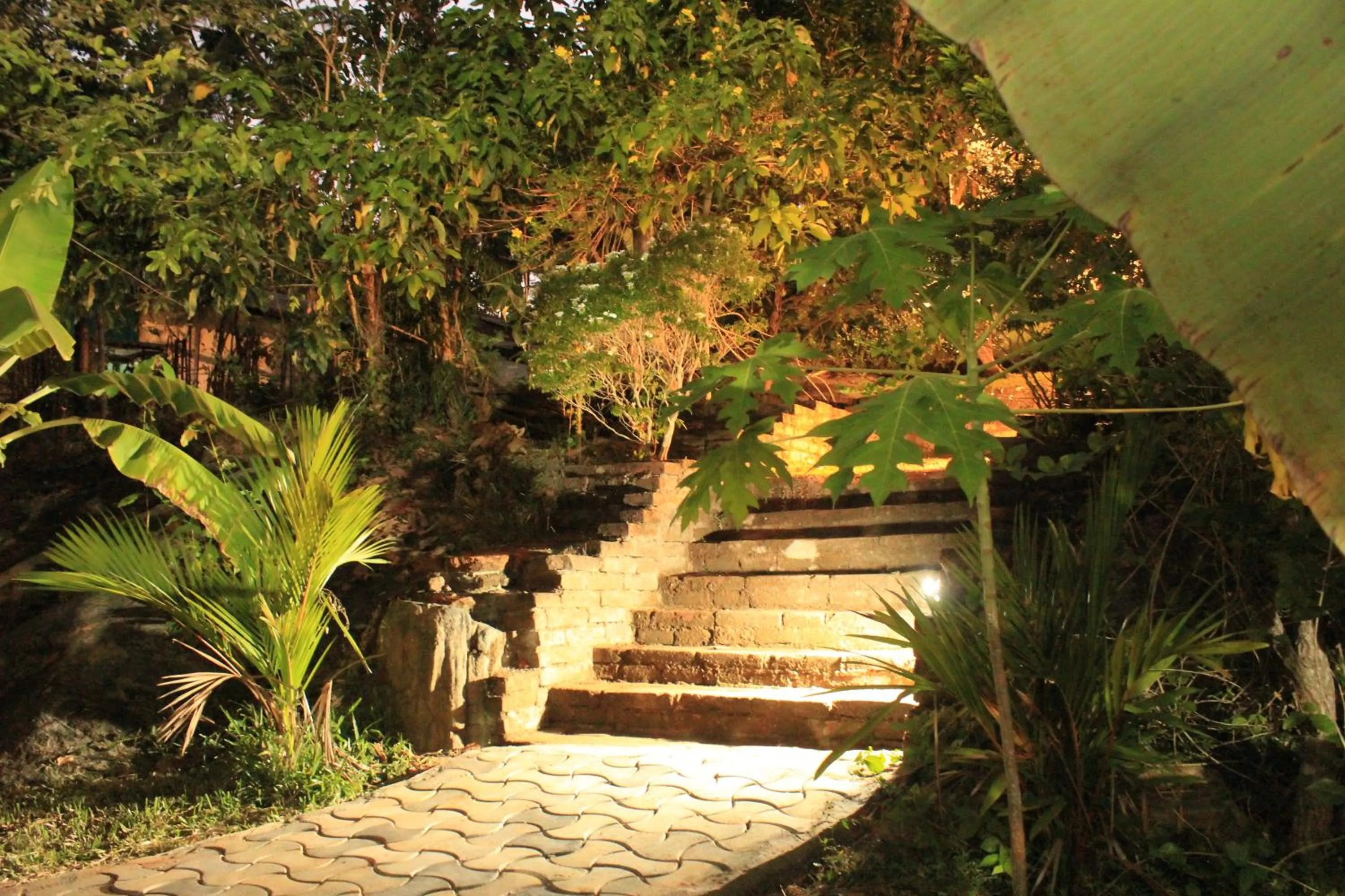 Natural landscape in Serenity Sigiri Resort