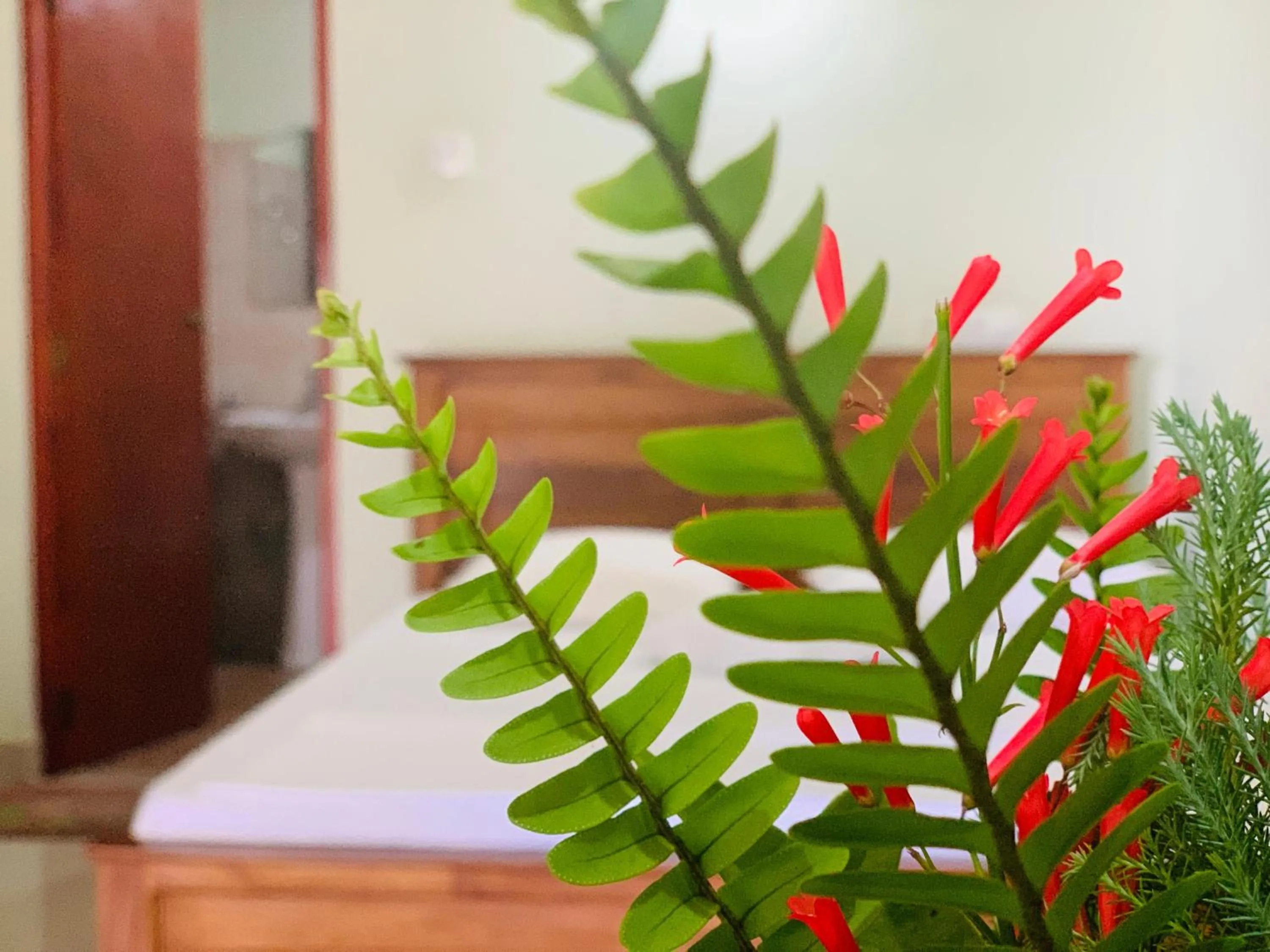 Lake Side Tourist Inn