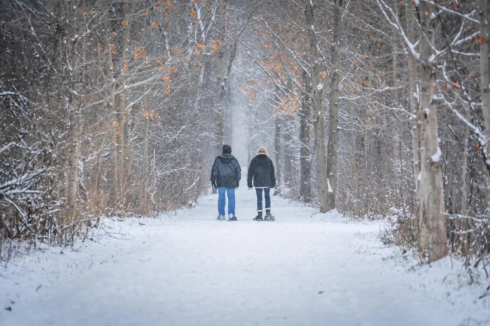 Nearby landmark in Holiday Inn Express & Suites Kitchener Southeast by IHG
