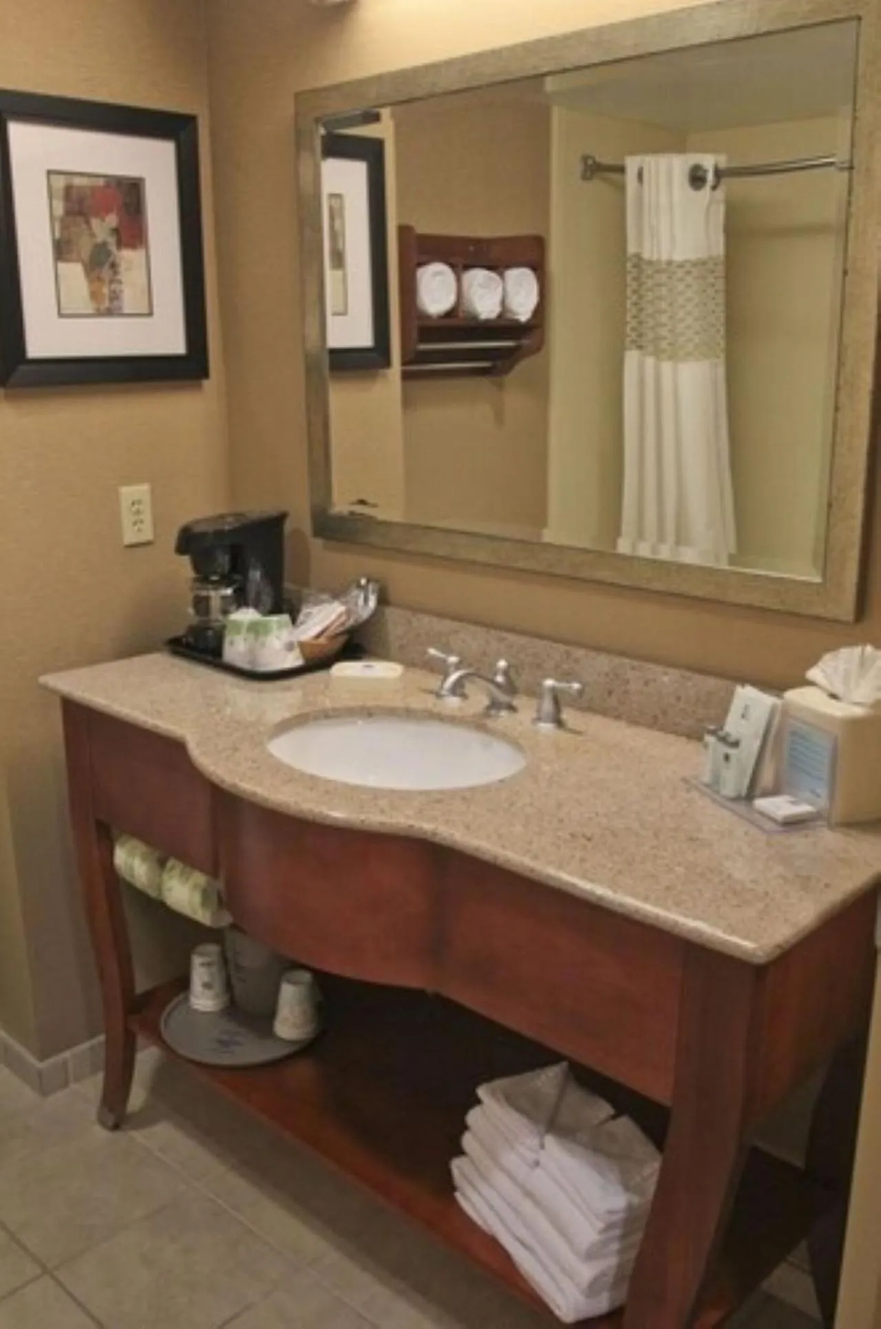 Bathroom in Hampton Inn Hampton-Newport News