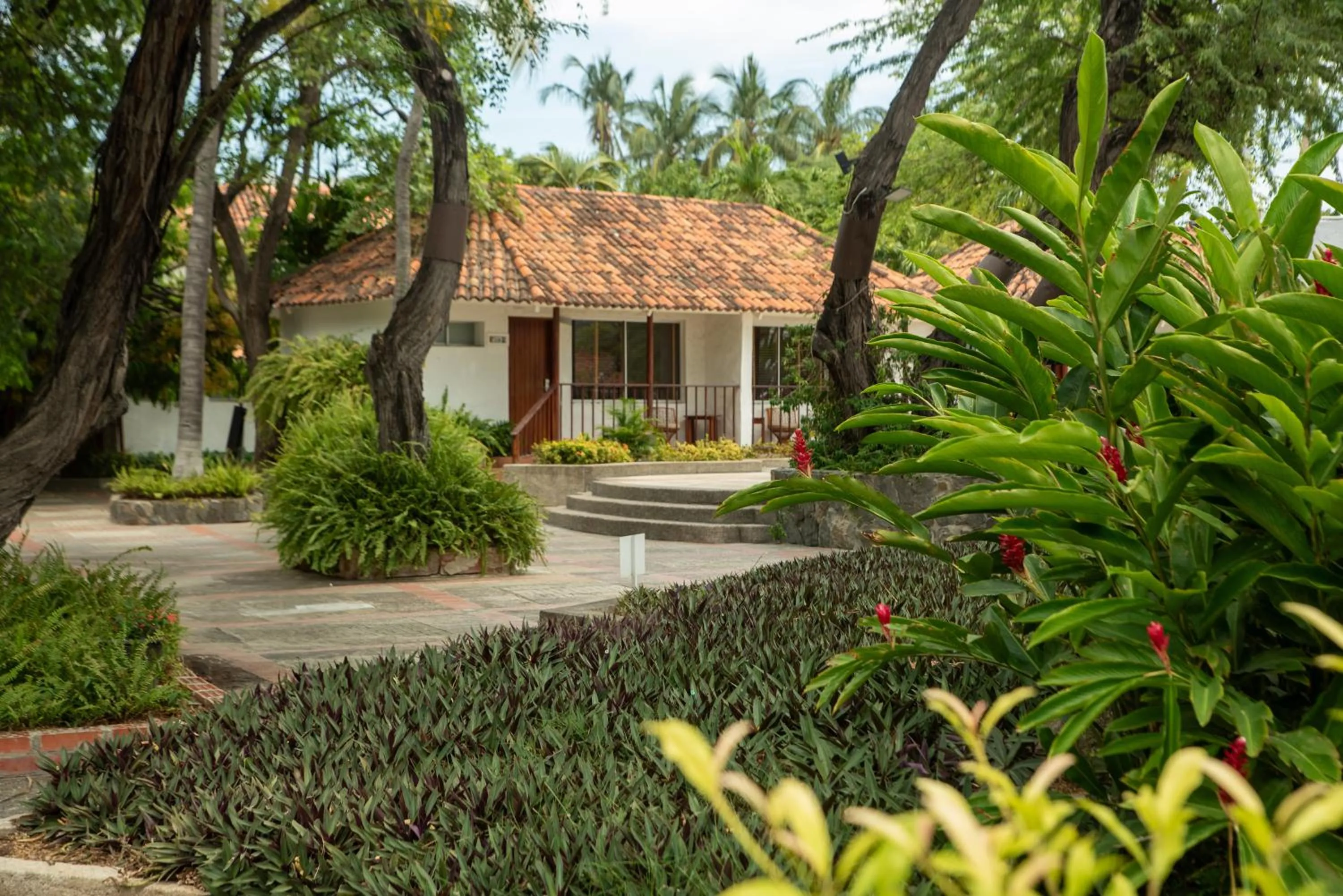 Garden in Estelar Santamar Hotel & Centro De Convenciones
