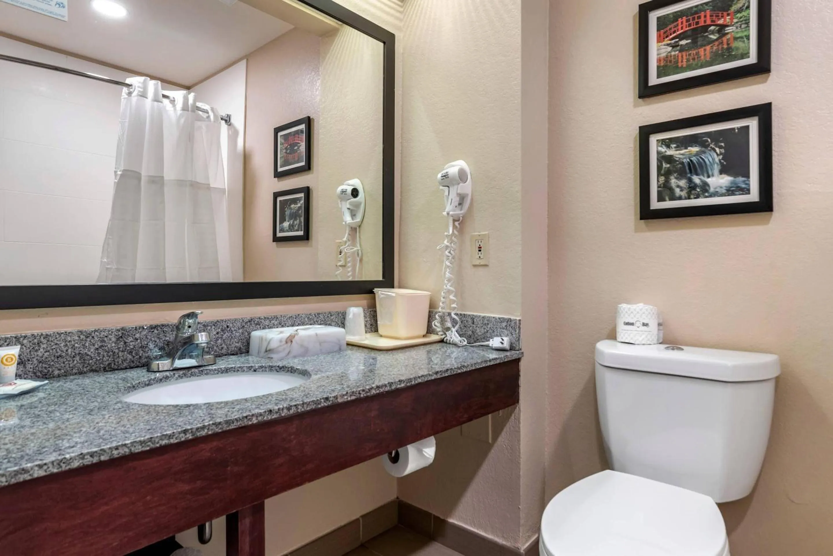 Bedroom in Comfort Inn Birmingham - Irondale