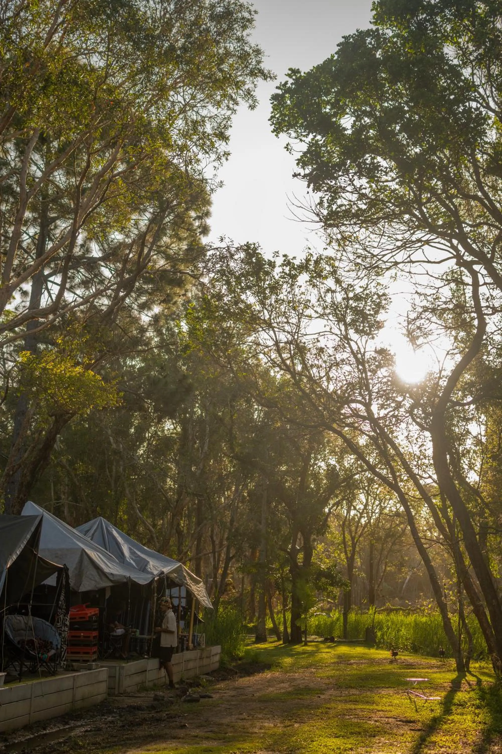 Natural landscape in Arts Factory by Nomads