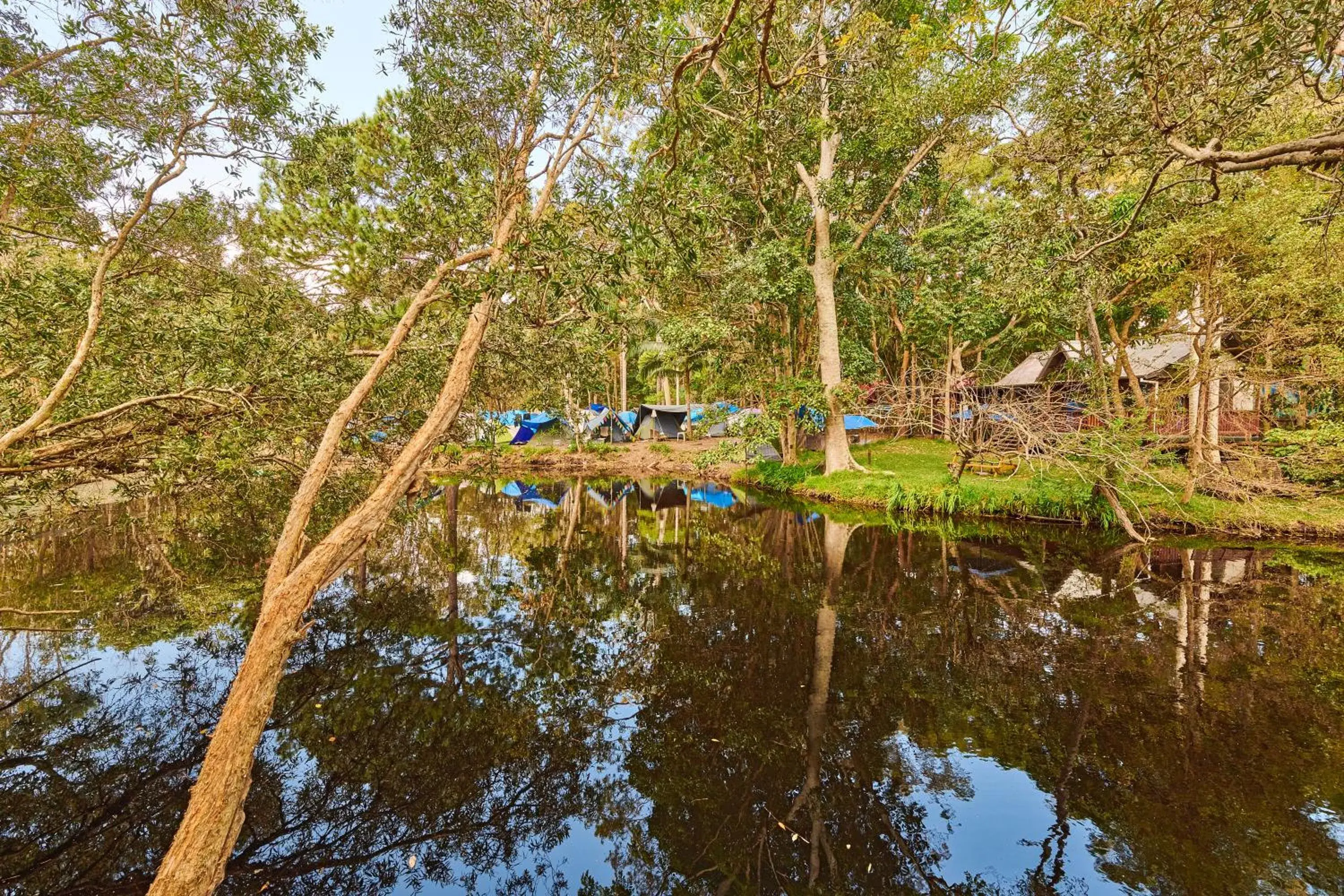 Natural landscape in Arts Factory Lodge