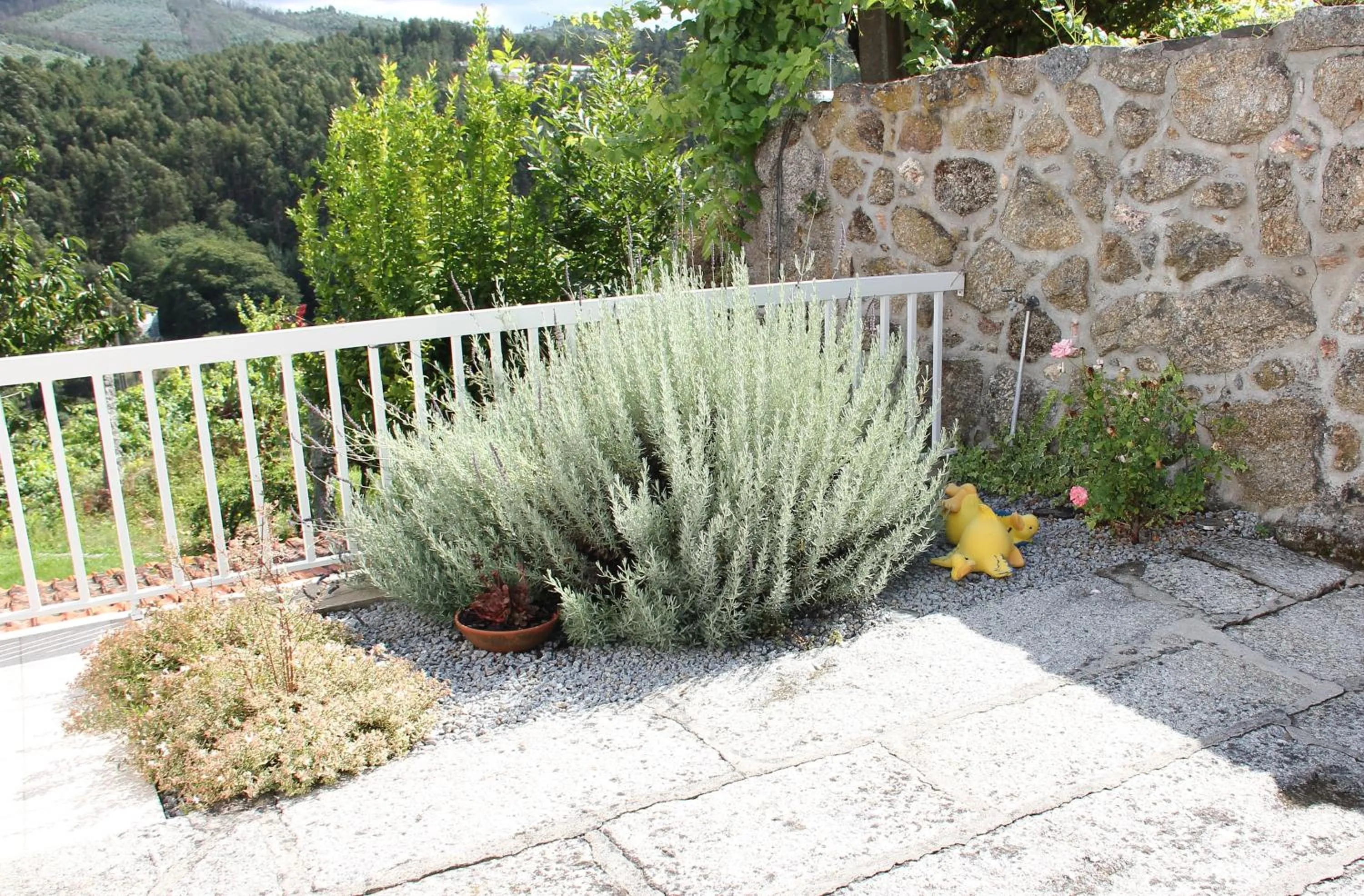 Garden in Casa da Bichaca
