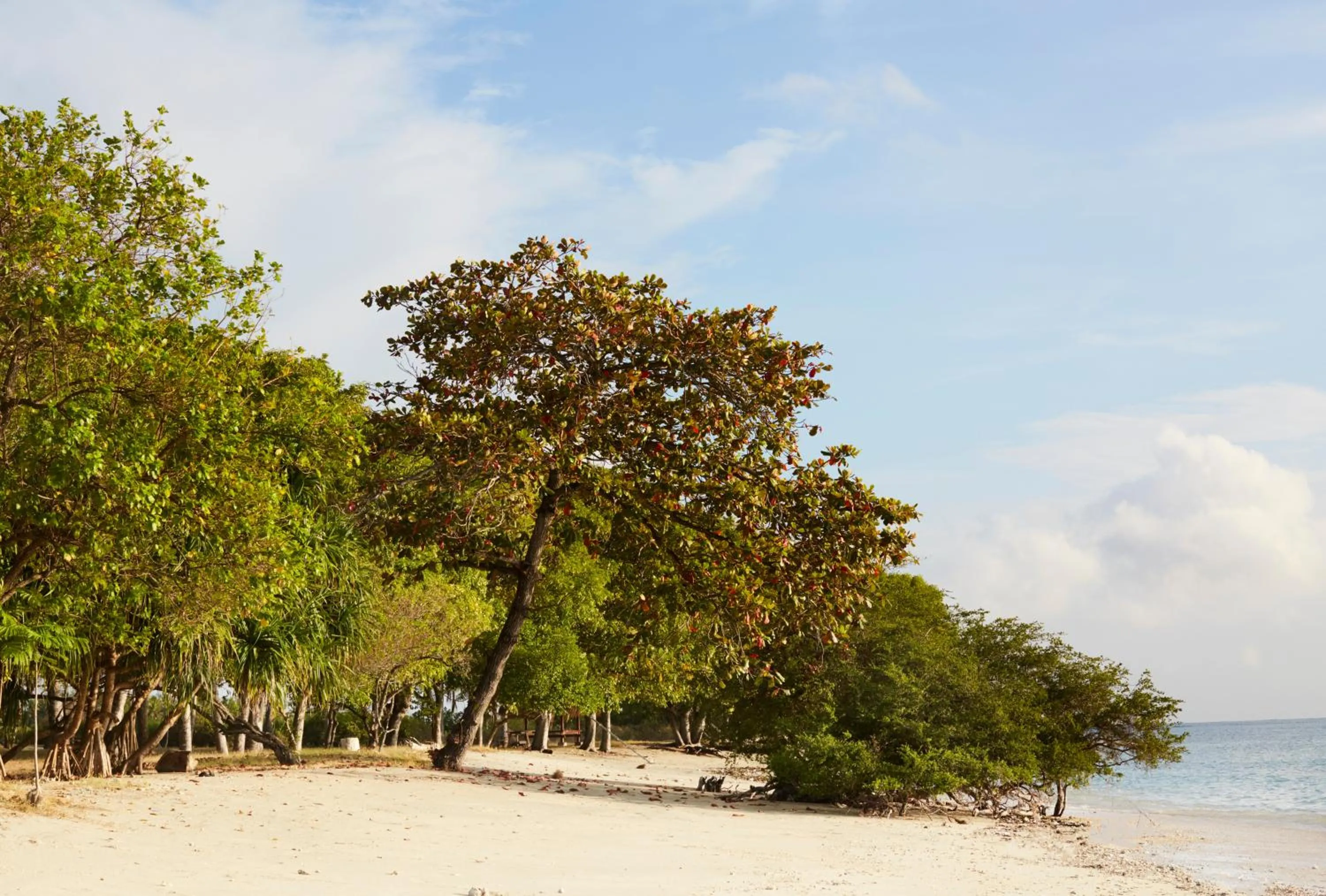 Day in Villa Selalu Gili Gede