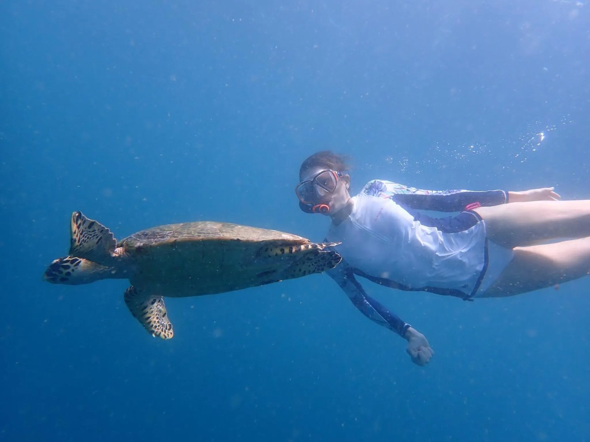 Snorkeling in Villa Selalu Gili Gede