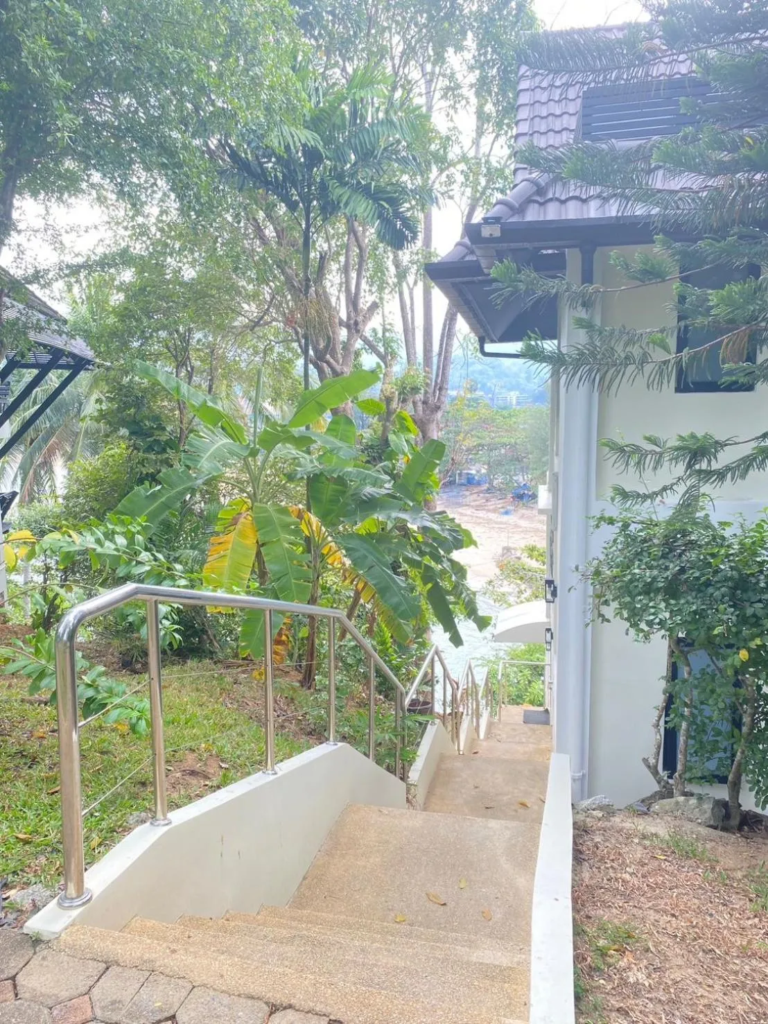 Natural landscape in Kamala Beach Estate Resort - SHA Extra Plus