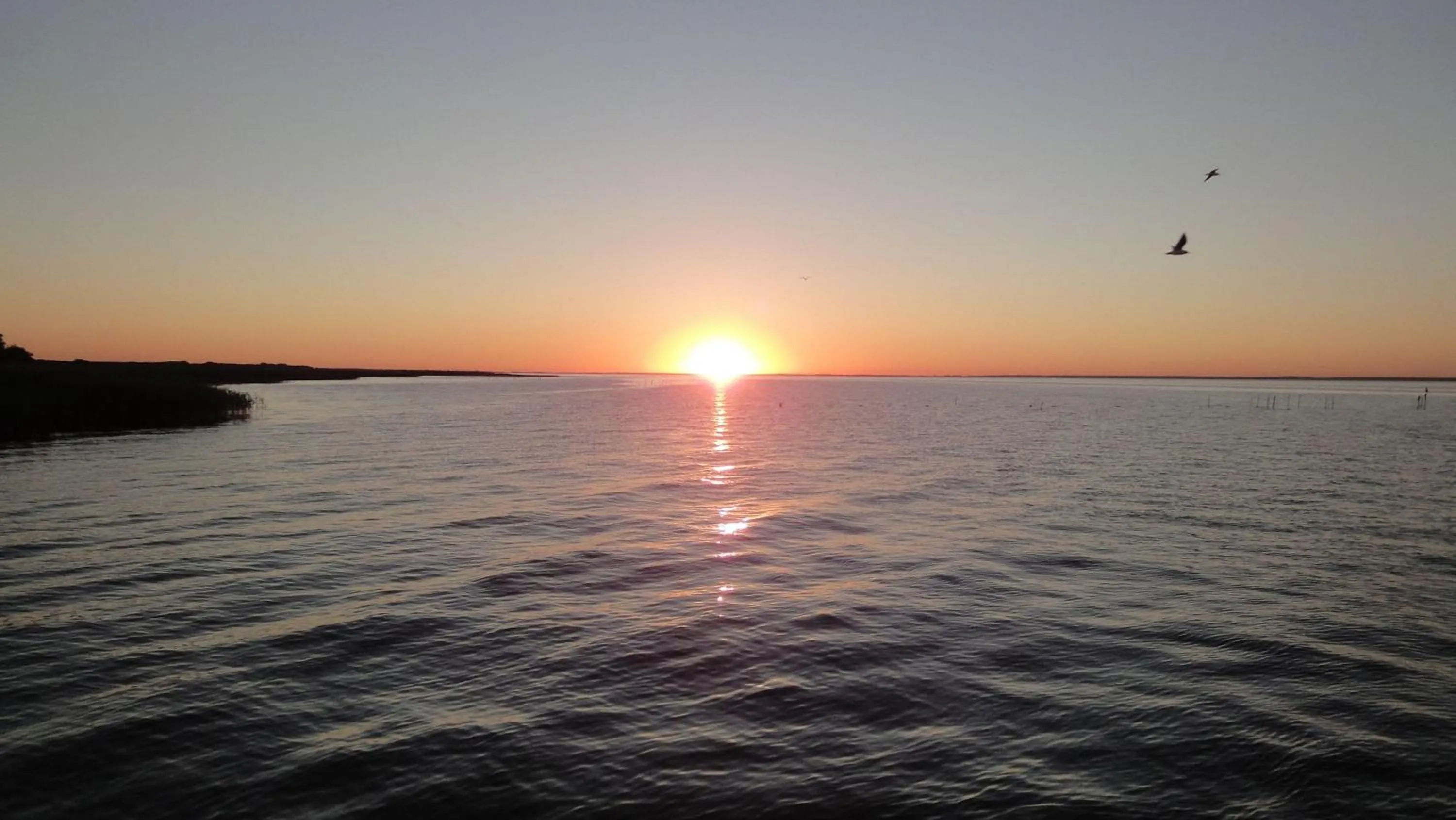 FEWO-bis-2-Pers-inmitten-den-Yachthafens-Ueckermuende-Stettiner-Haff-Ostsee