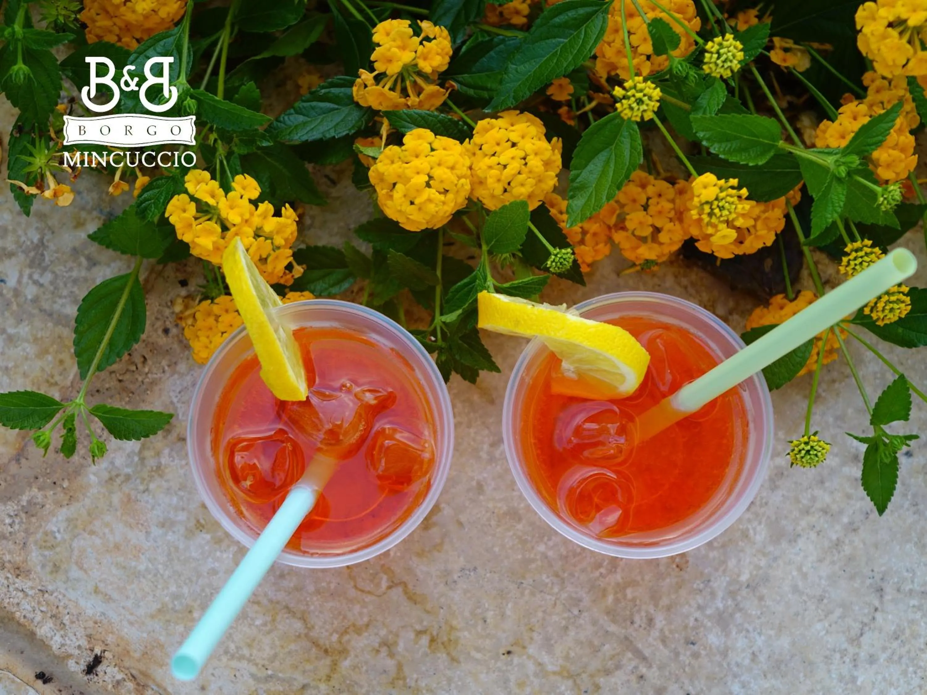 Garden in Borgo Mincuccio