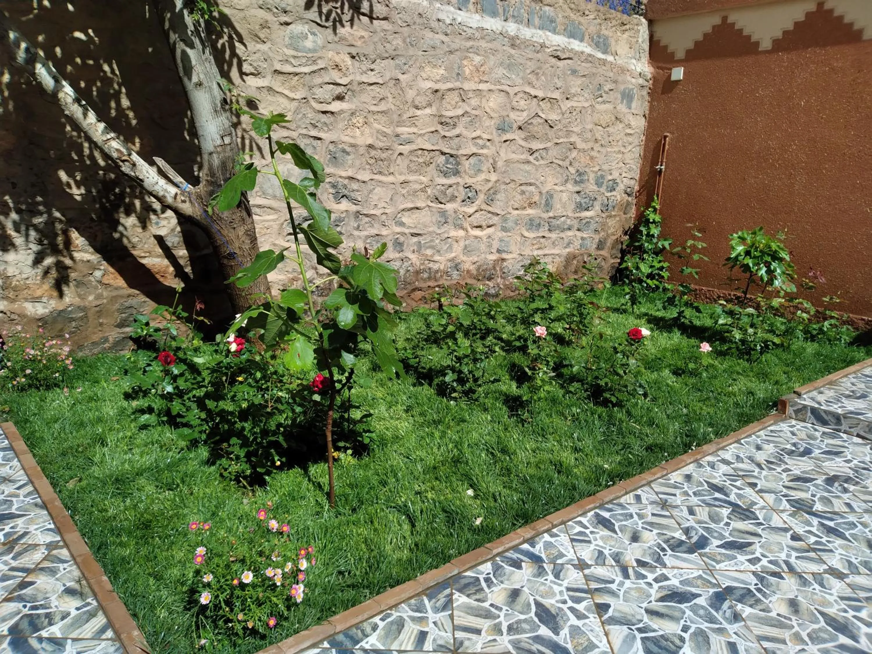 Garden view in Berbère de la Montagne HoteL