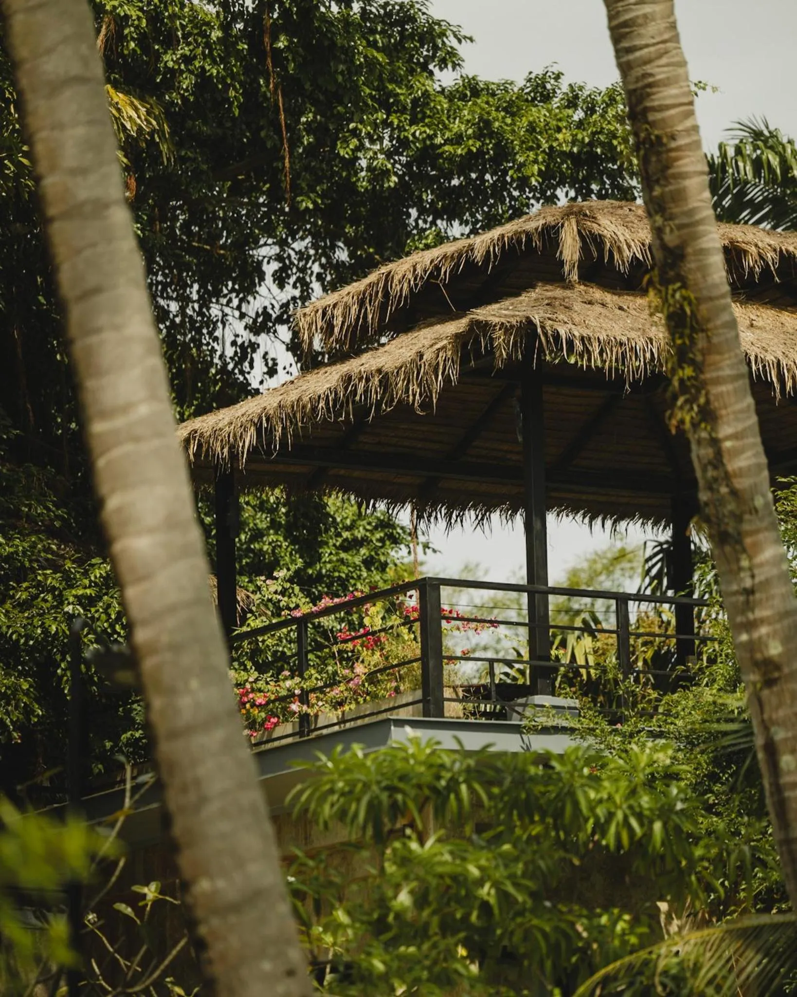 Garden view in Koh Mak White Sand Beach