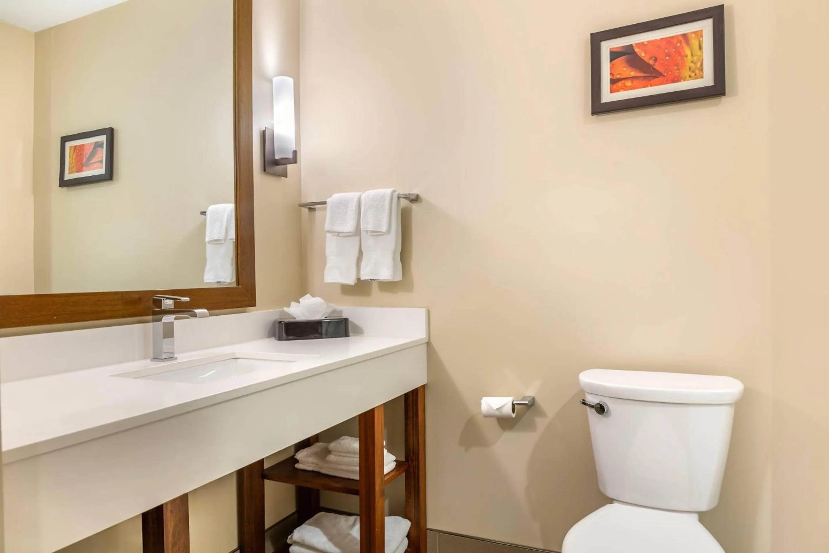 Bedroom in Comfort Suites Florence - Cincinnati South